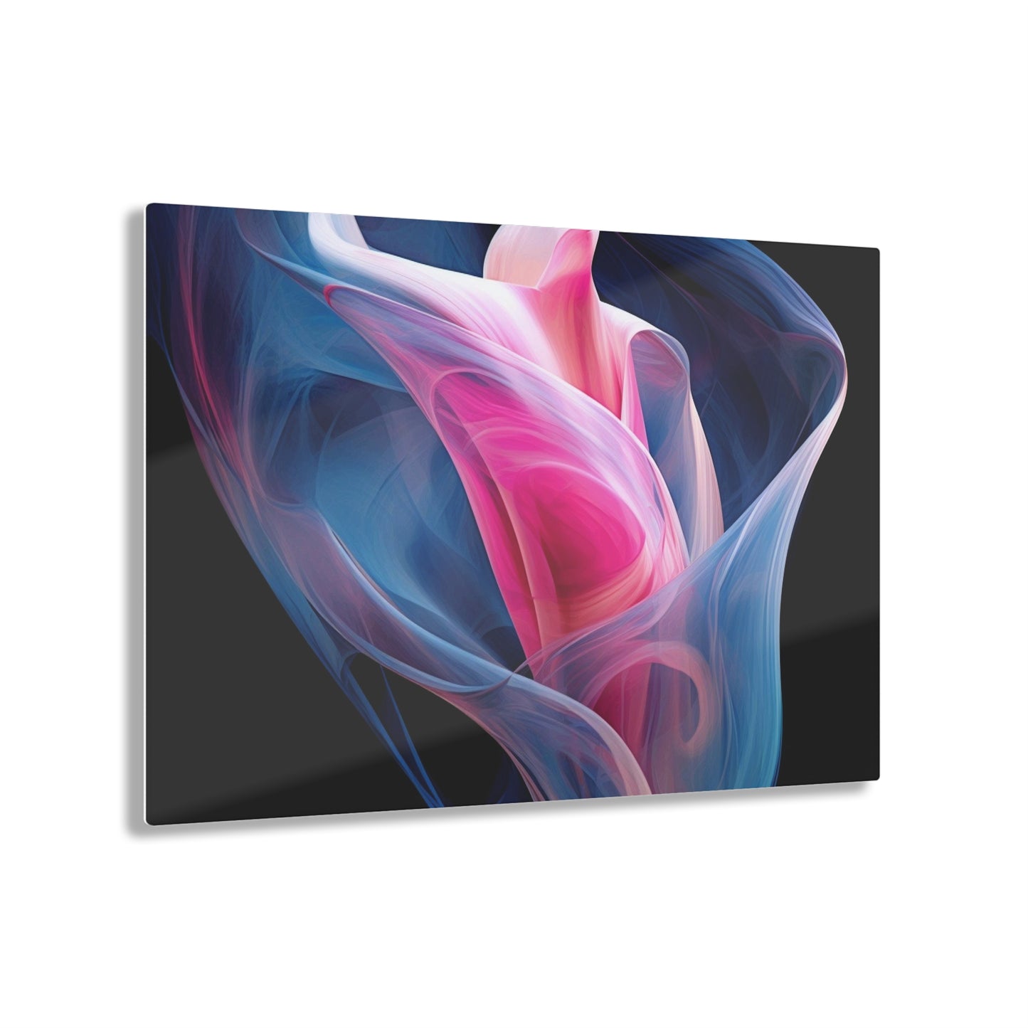 Acrylic Prints Pink & Blue Tulip Rose 3