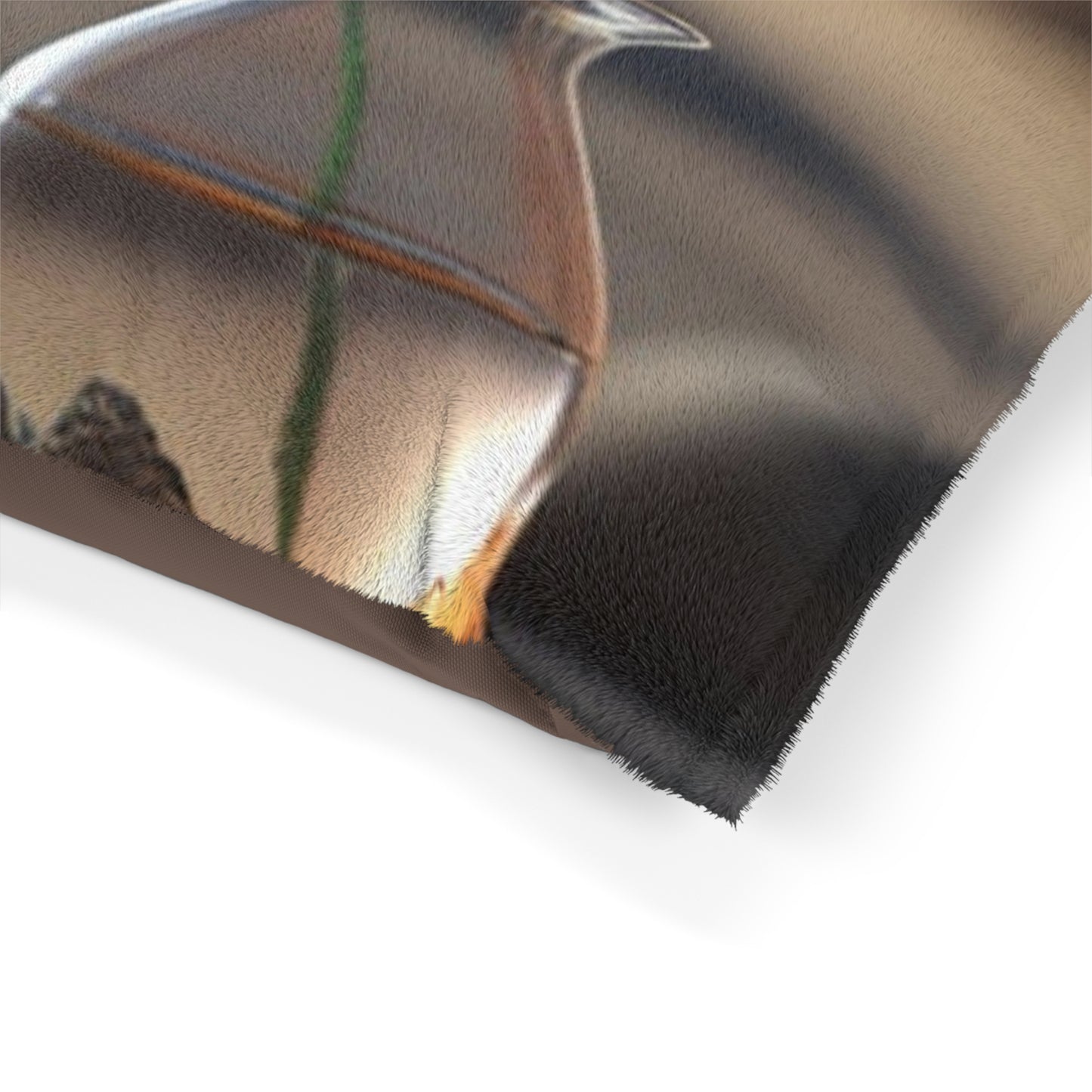 Pet Bed Poppy in a Glass Vase 1