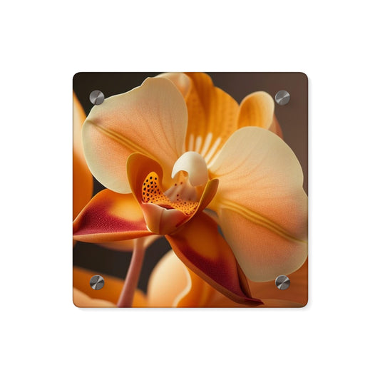 Acrylic Wall Art Panels Orange Orchid 3