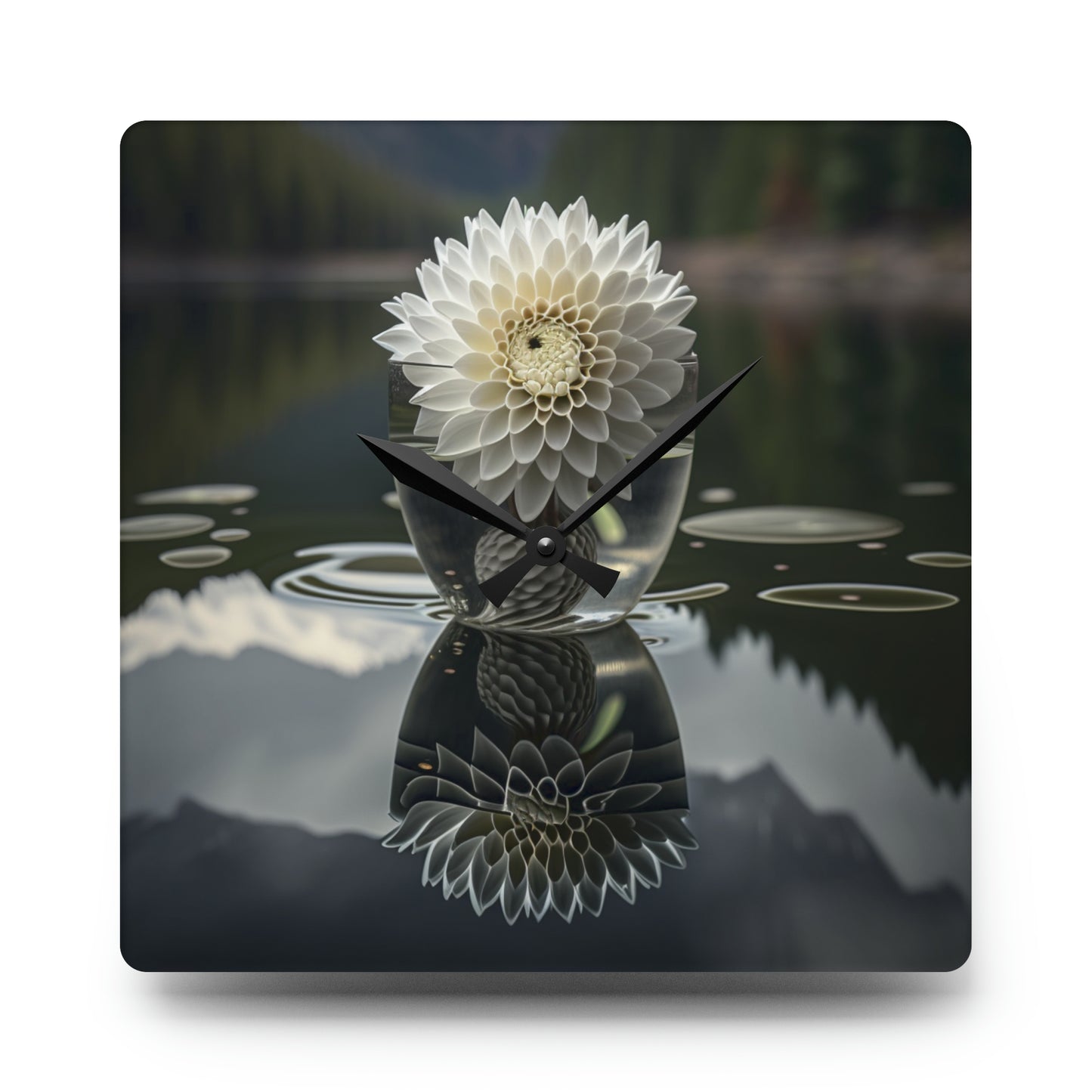 Acrylic Wall Clock White Dahlia 3