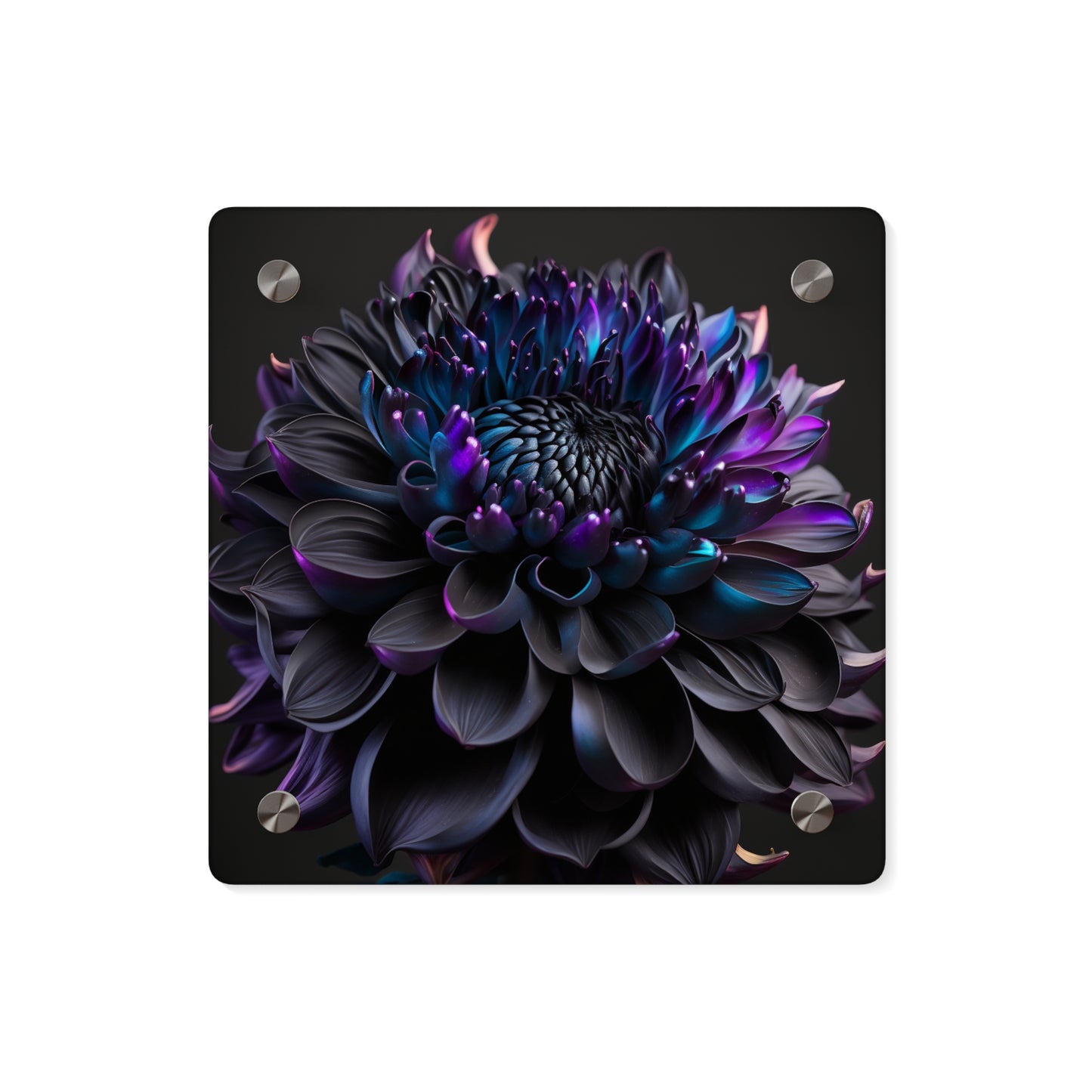 Acrylic Wall Art Panels Dahlia Purple 2