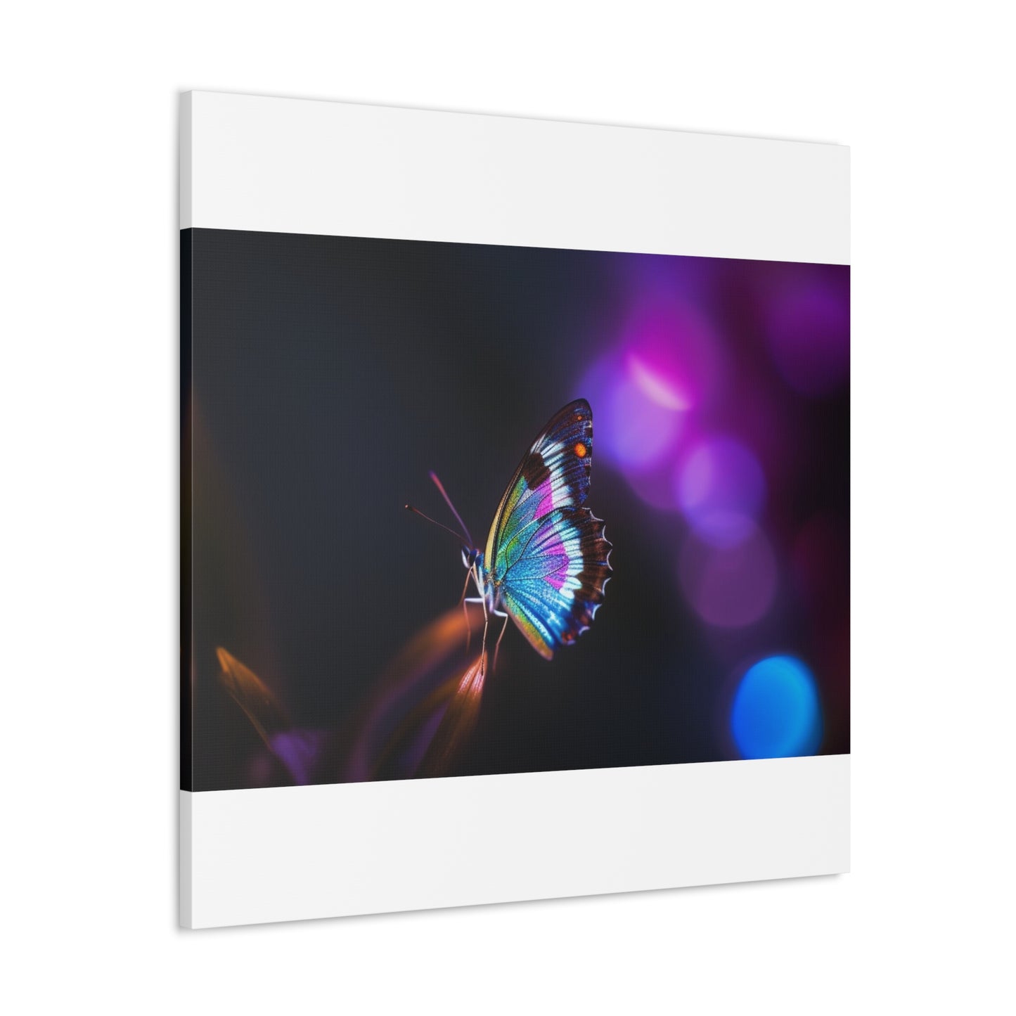 Canvas Gallery Wraps Photo Realistic Butterfly 1