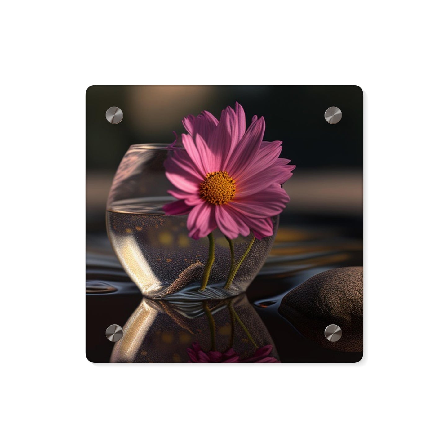 Acrylic Wall Art Panels Pink Daisy 4