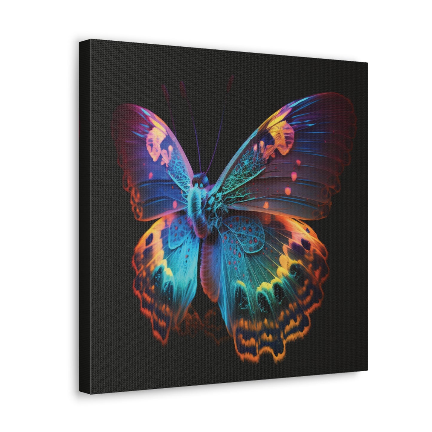 Canvas Gallery Wraps Raw Hyper Color Butterfly 4