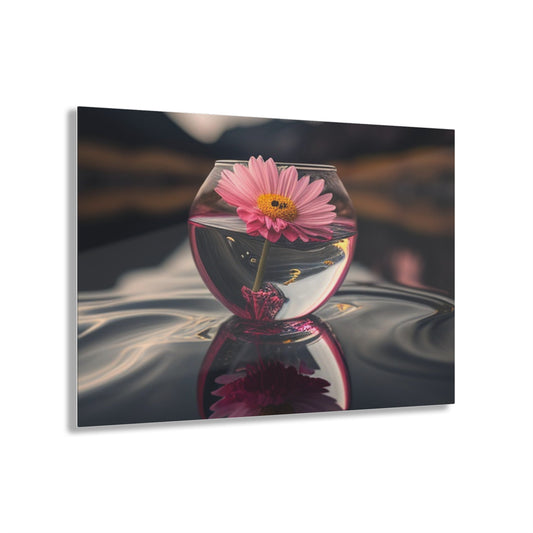 Acrylic Prints Pink Daisy 1