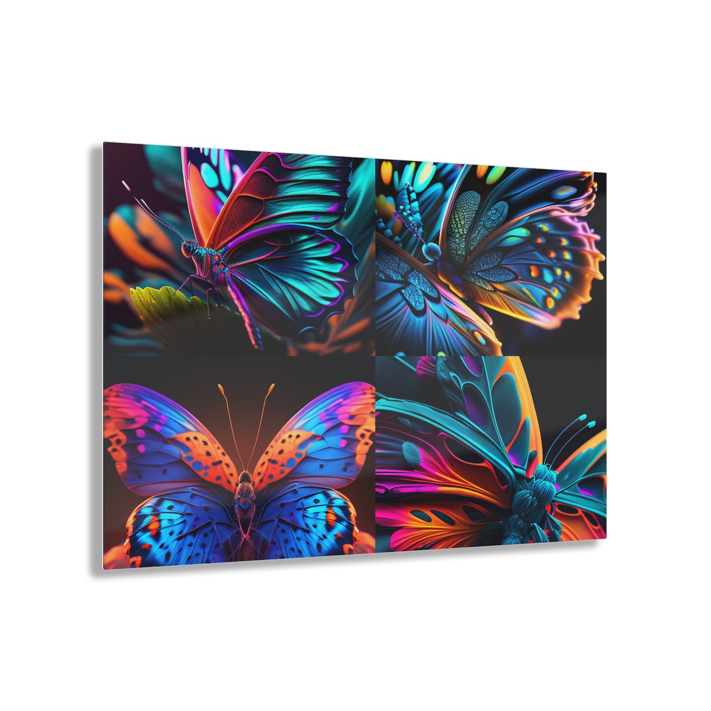 Acrylic Prints Neon Butterfly Macro 5