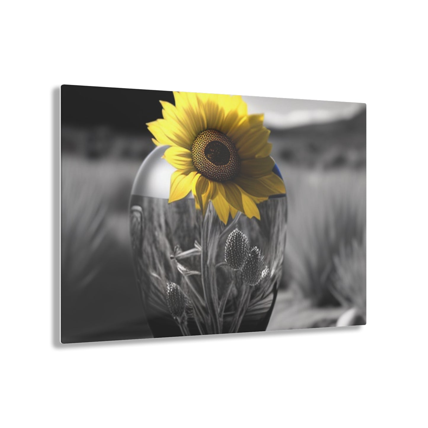 Acrylic Prints Yellw Sunflower in a vase 3