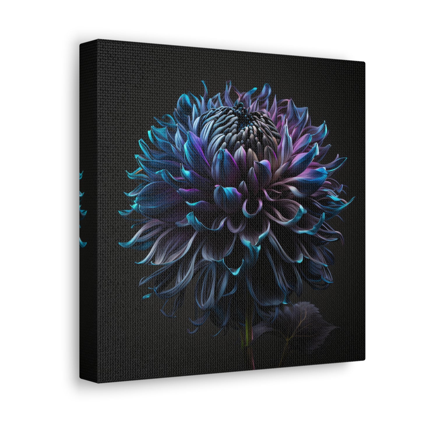 Canvas Gallery Wraps Dahlia Purple 3