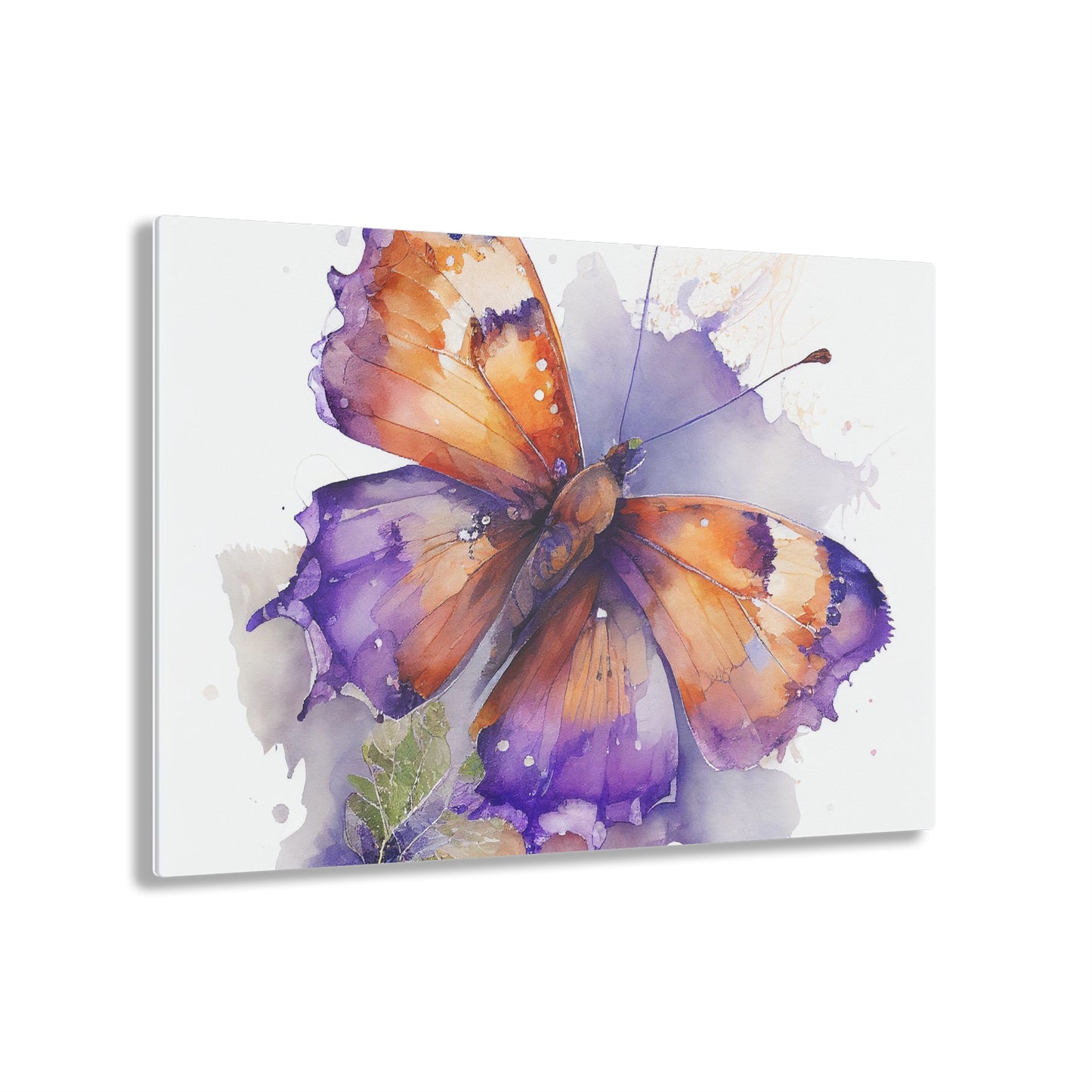 Acrylic Prints MerlinRose Watercolor Butterfly 2