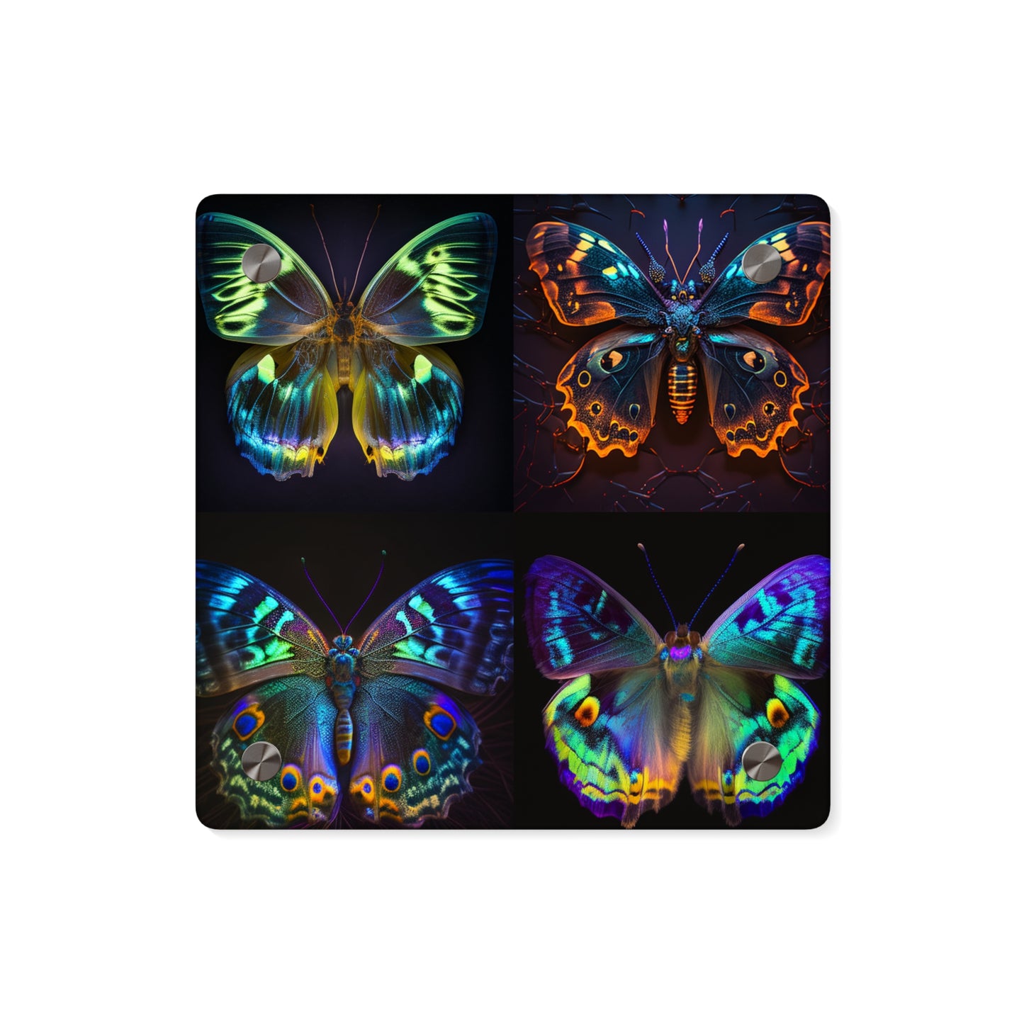 Acrylic Wall Art Panels Neon Hue Butterfly 5