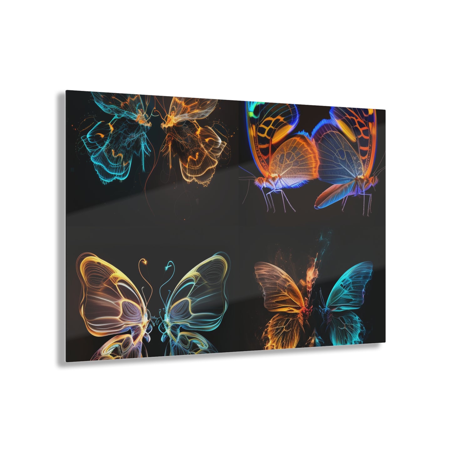 Acrylic Prints Neon Glo Butterfly 5