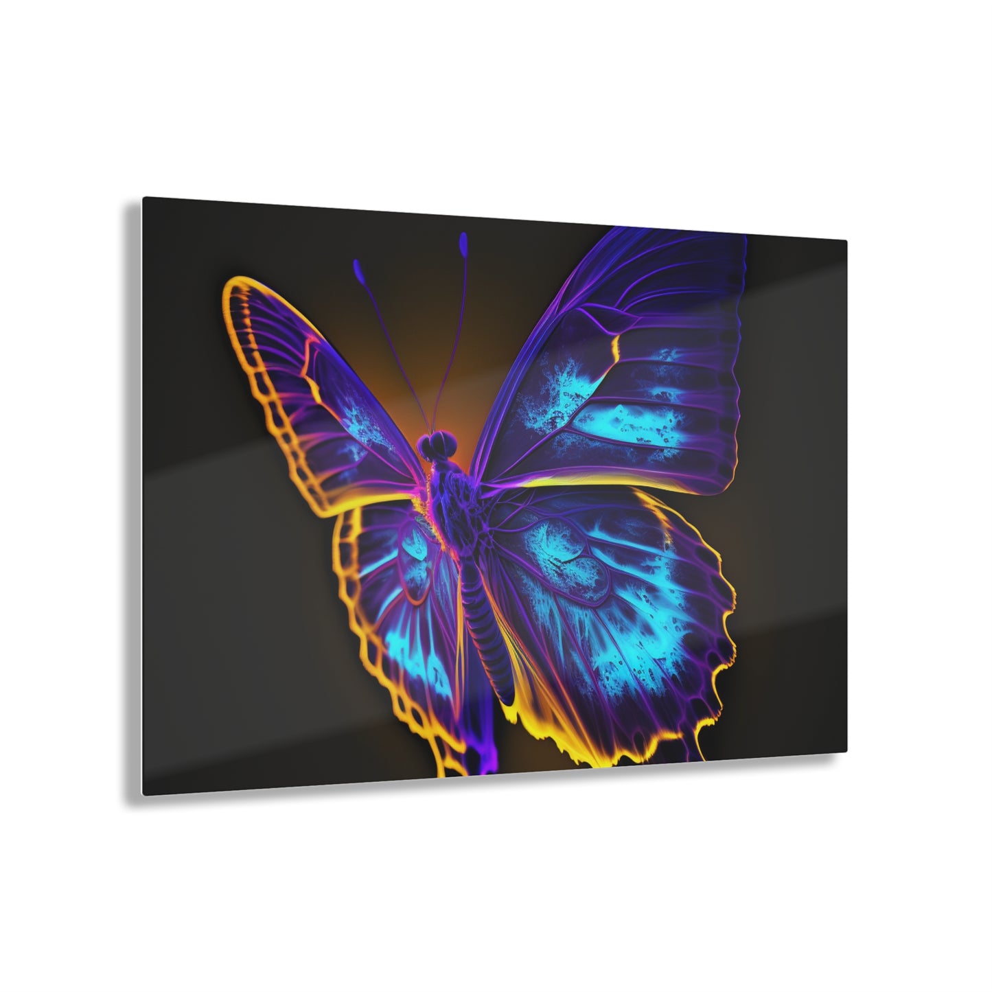 Acrylic Prints Thermal Butterfly 4