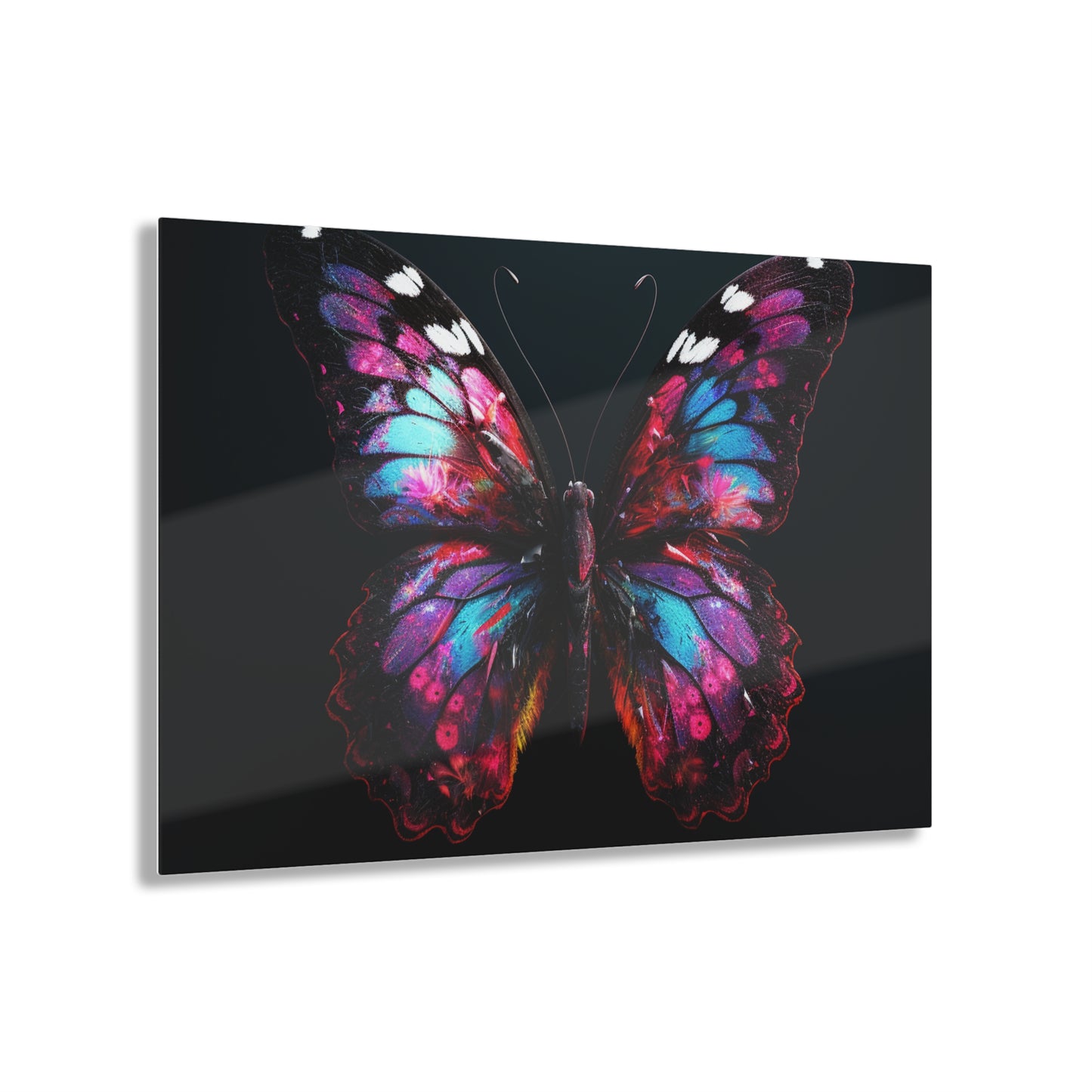 Acrylic Prints Hyper Butterfly Real