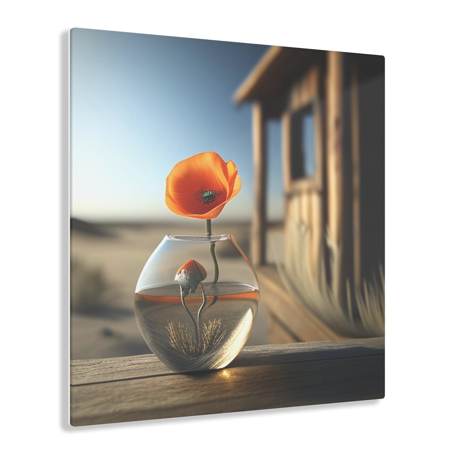 Acrylic Prints Orange Poppy in a Vase 1