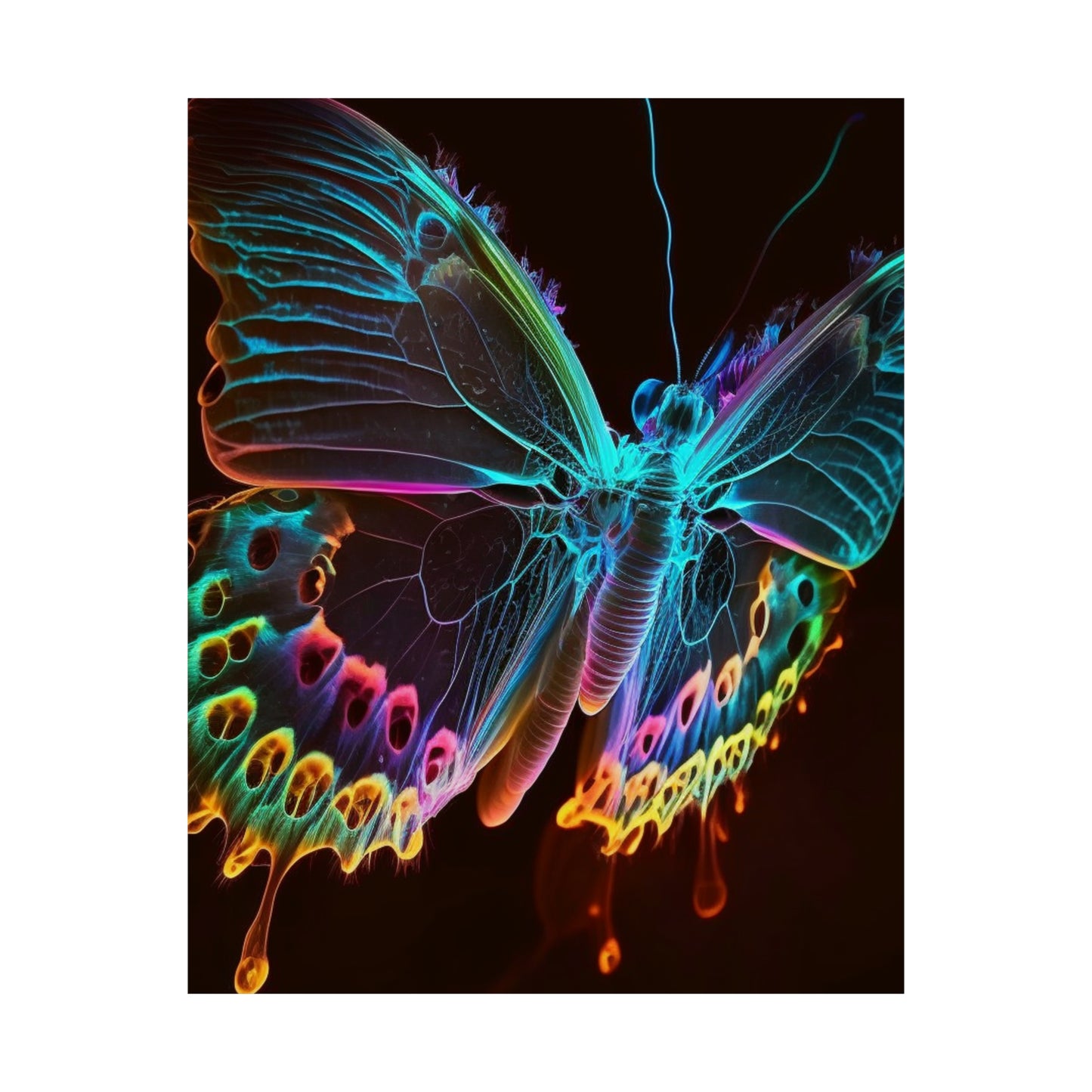 Premium Matte Vertical Posters Thermal Butterfly 2