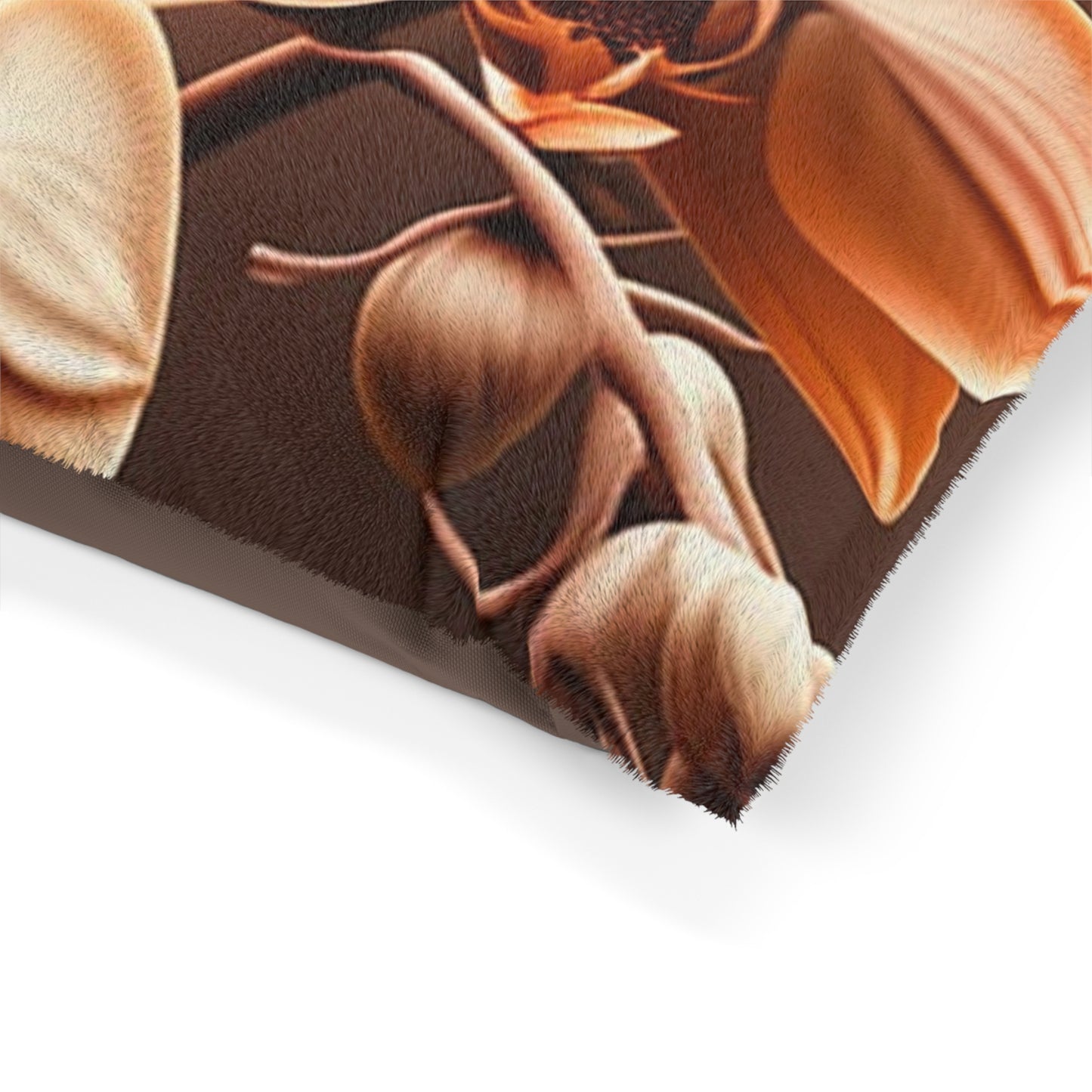 Pet Bed orchid pedals 3