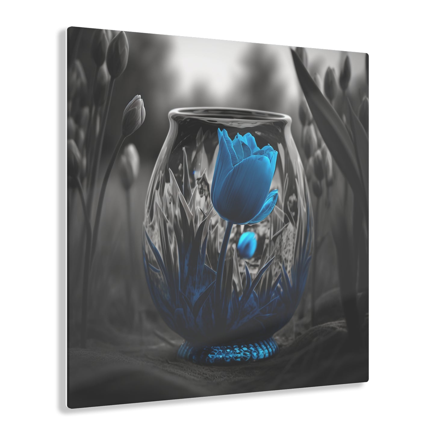 Acrylic Prints Tulip Blue 6