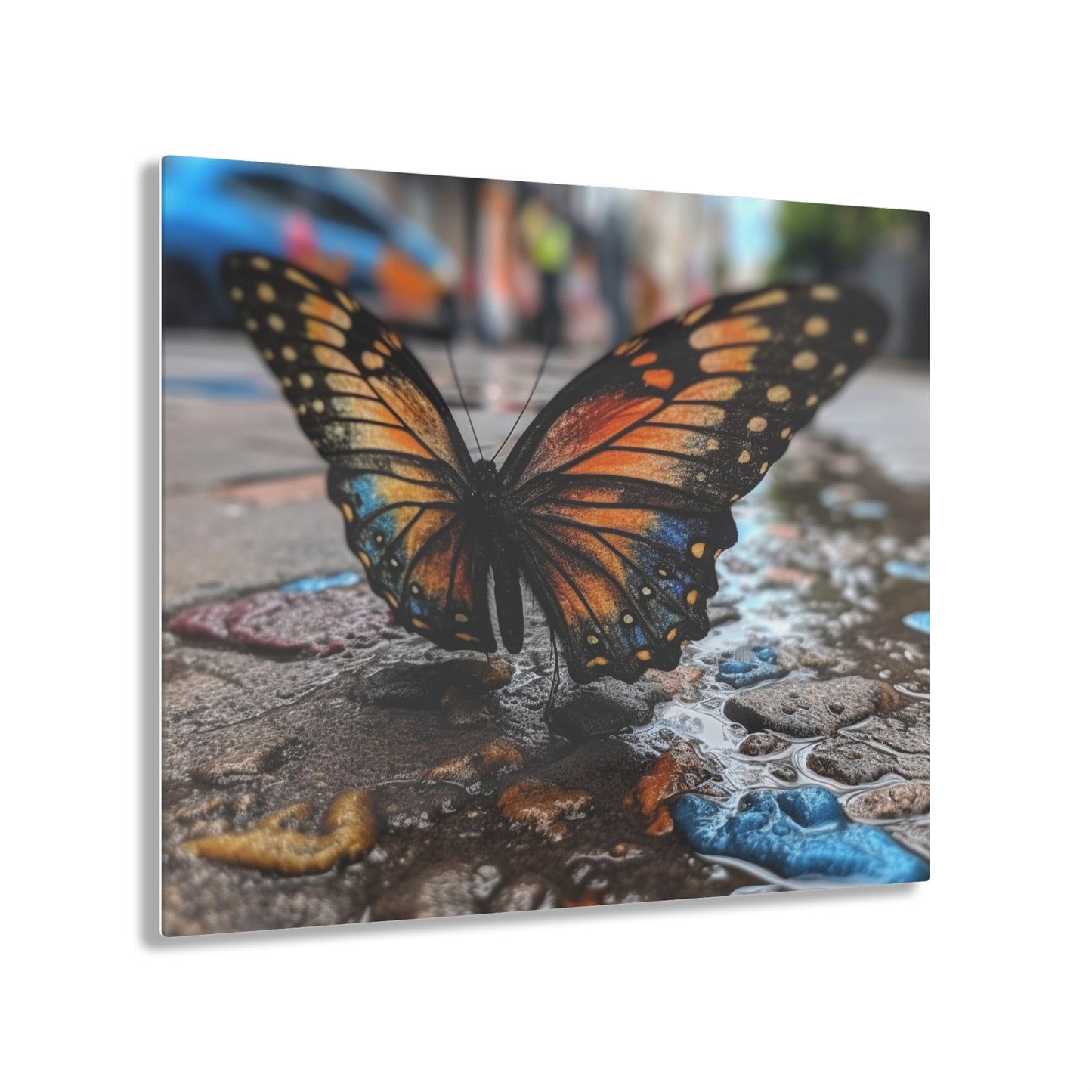 Acrylic Prints Water Butterfly Street 4