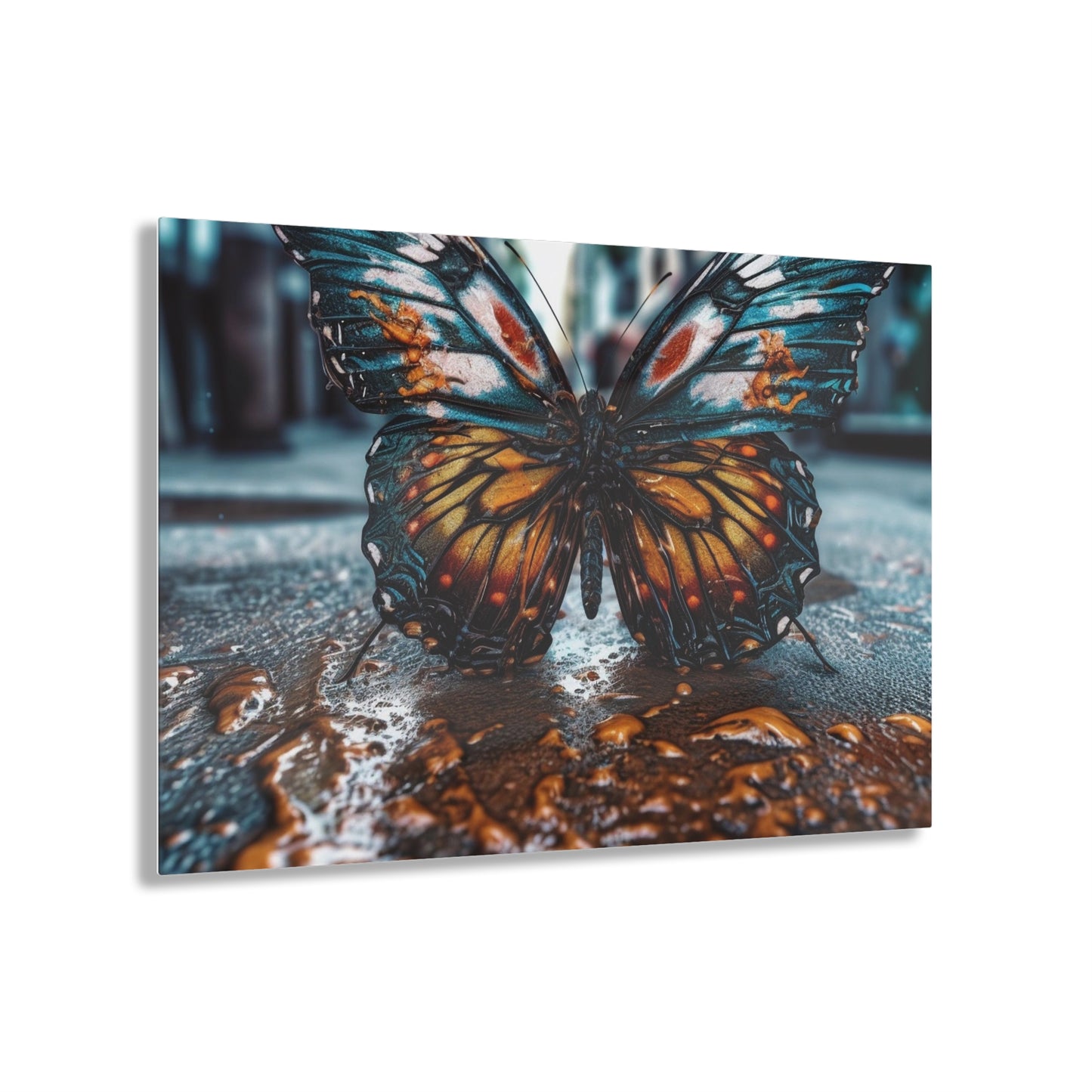 Acrylic Prints Water Butterfly Street 3