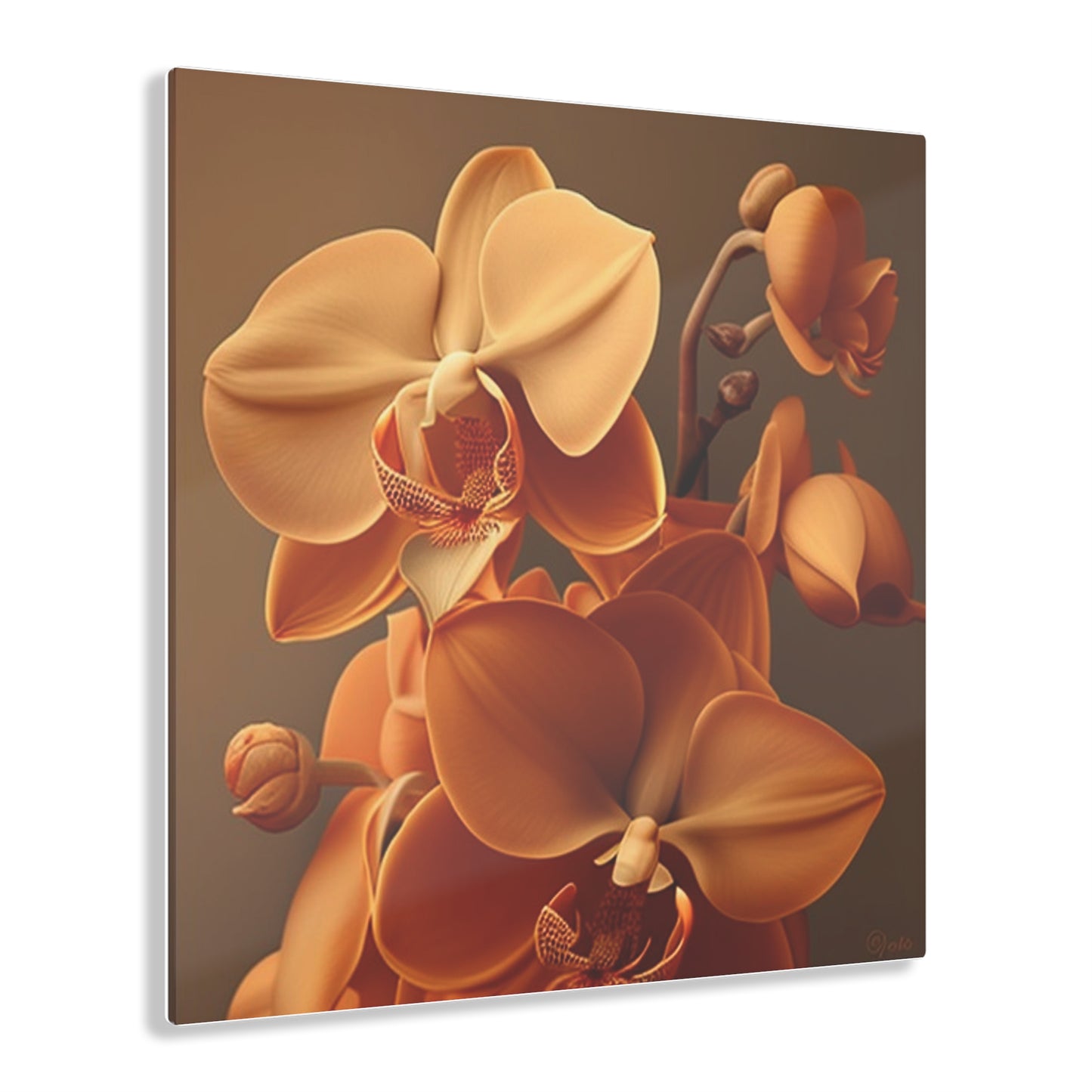 Acrylic Prints orchid pedals 4