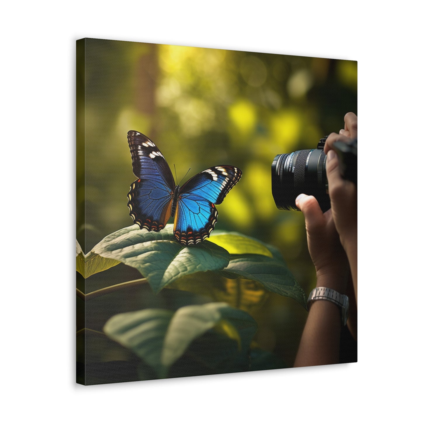 Canvas Gallery Wraps Jungle Butterfly 3