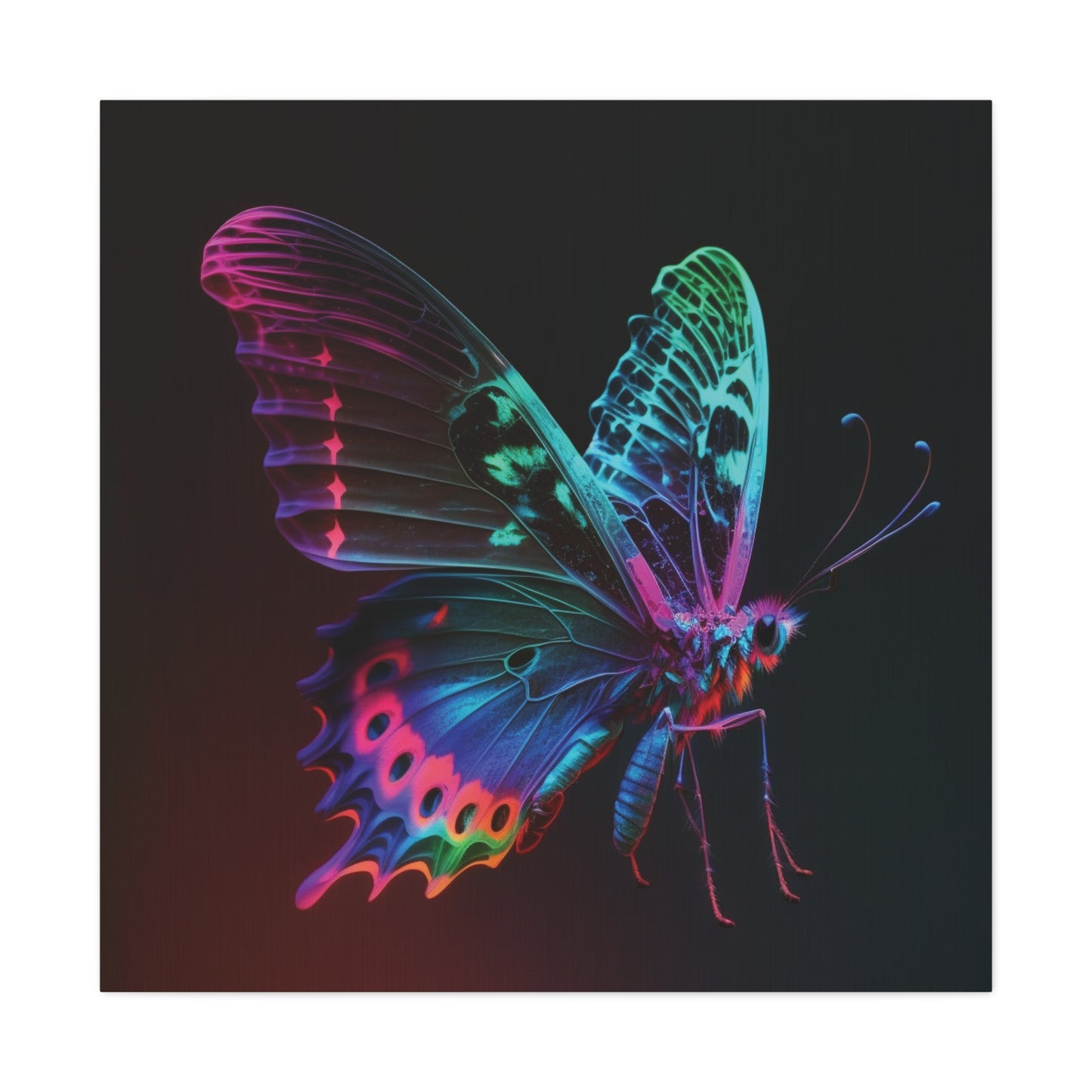 Canvas Gallery Wraps Raw Hyper Color Butterfly 1