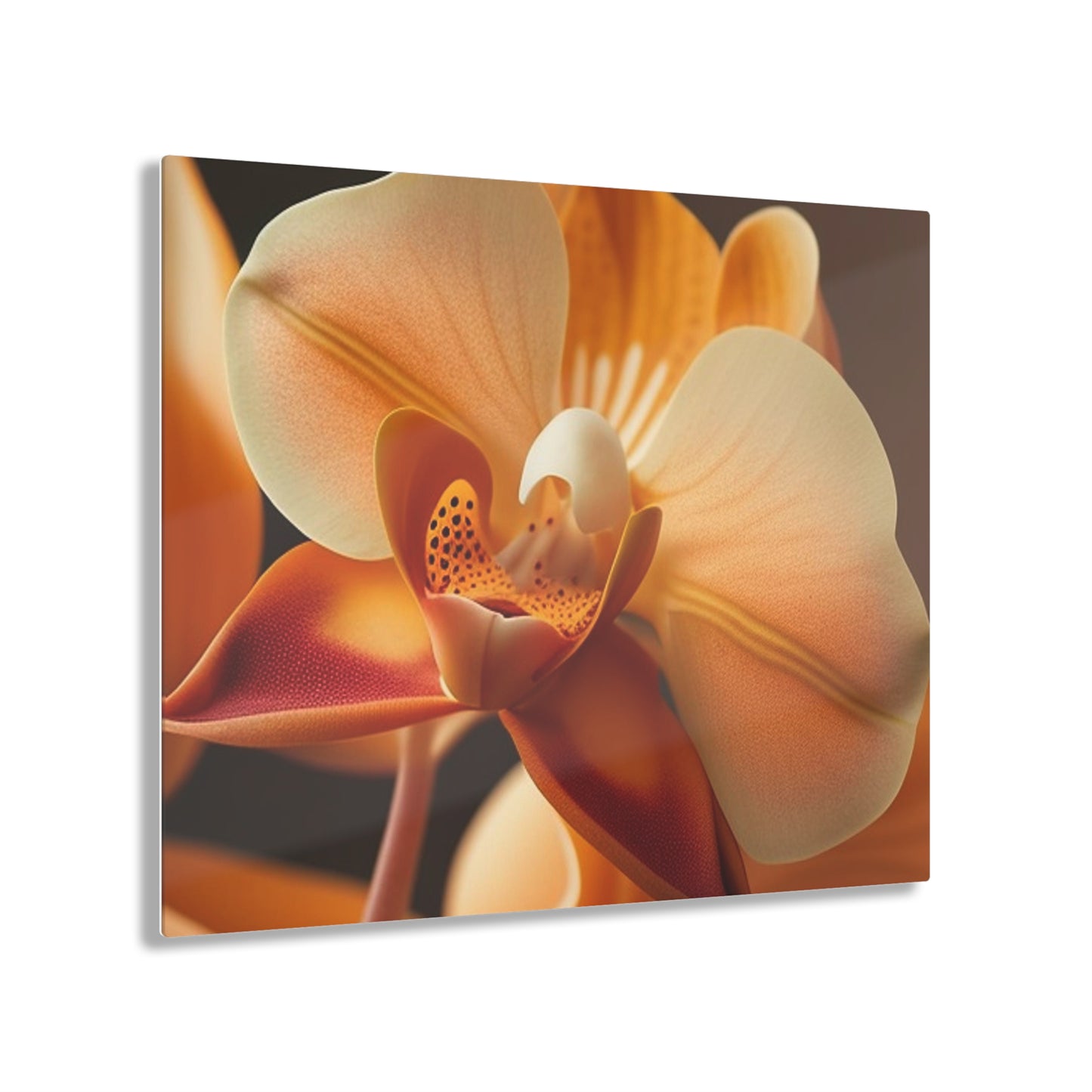 Acrylic Prints Orange Orchid 3