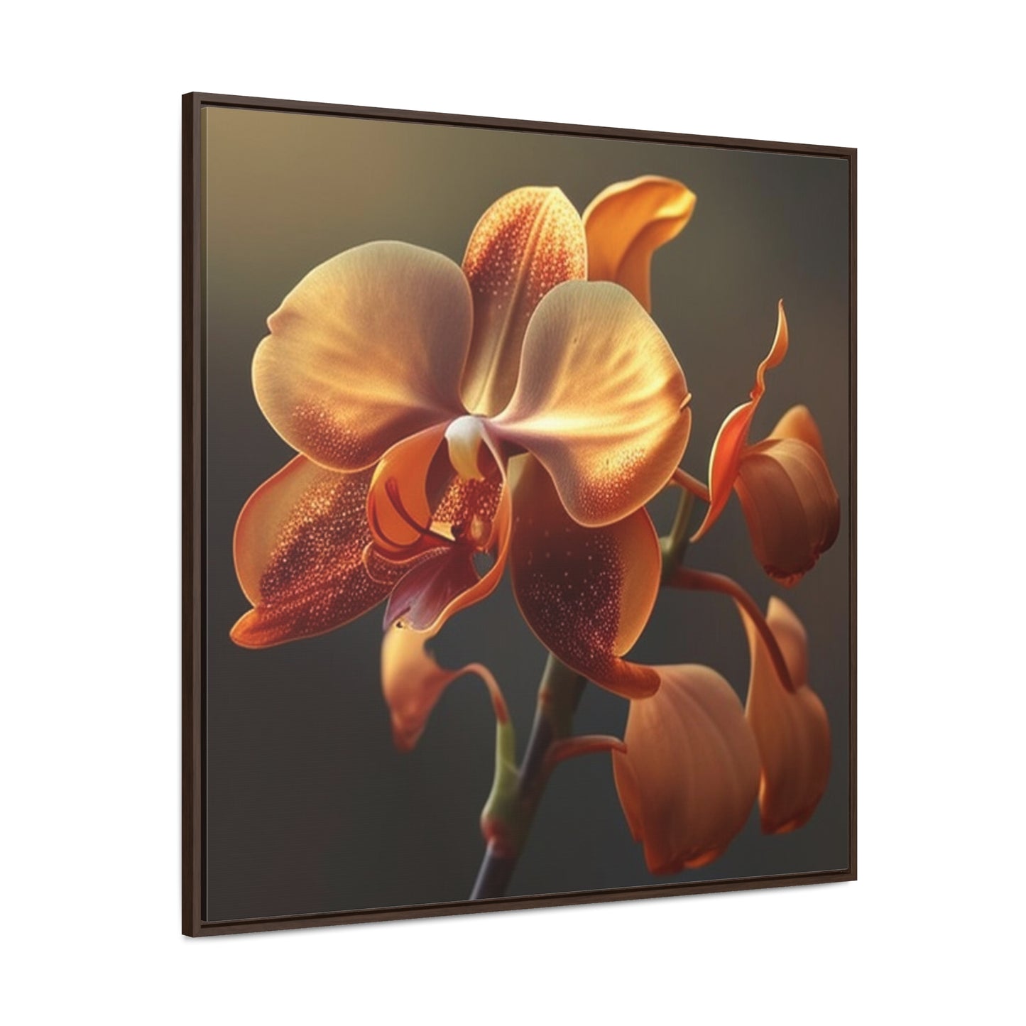 Gallery Canvas Wraps, Square Frame Orange Orchid 1