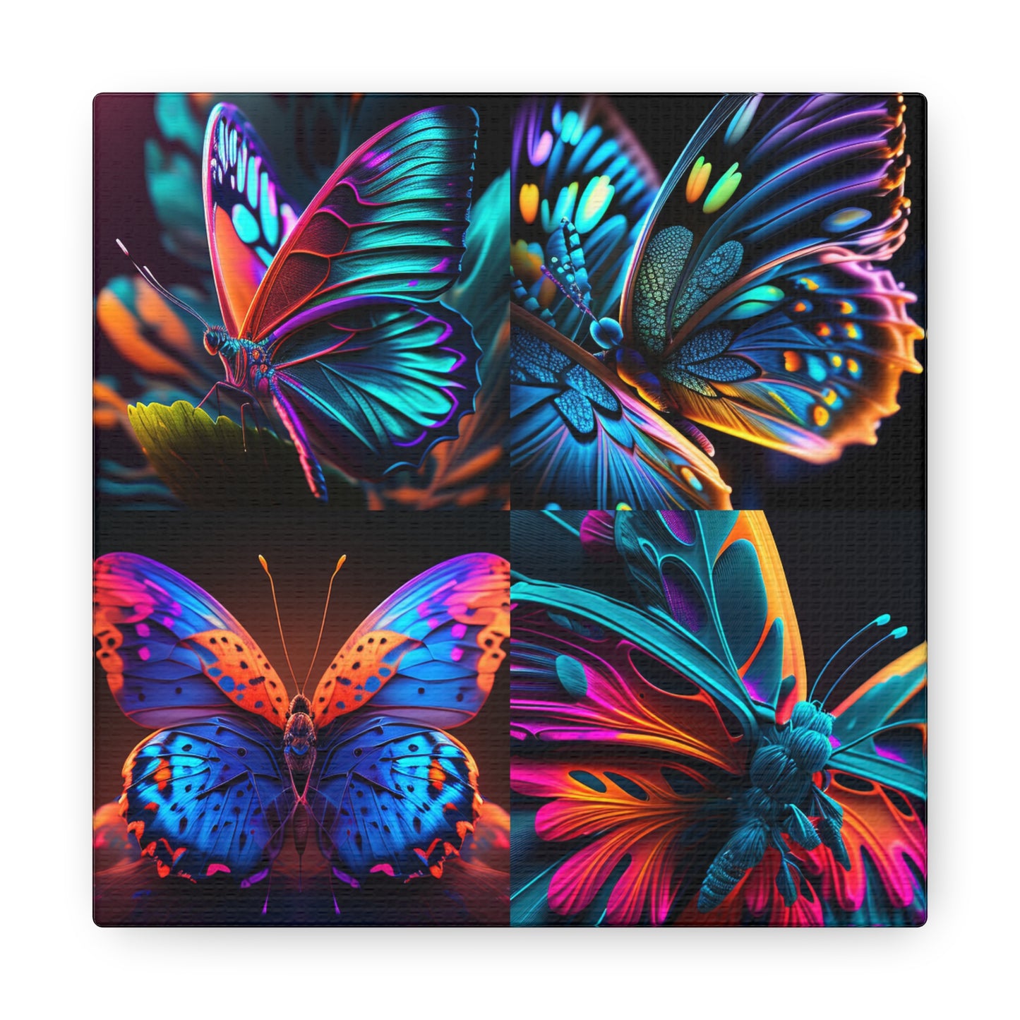Canvas Gallery Wraps Neon Butterfly Macro 5