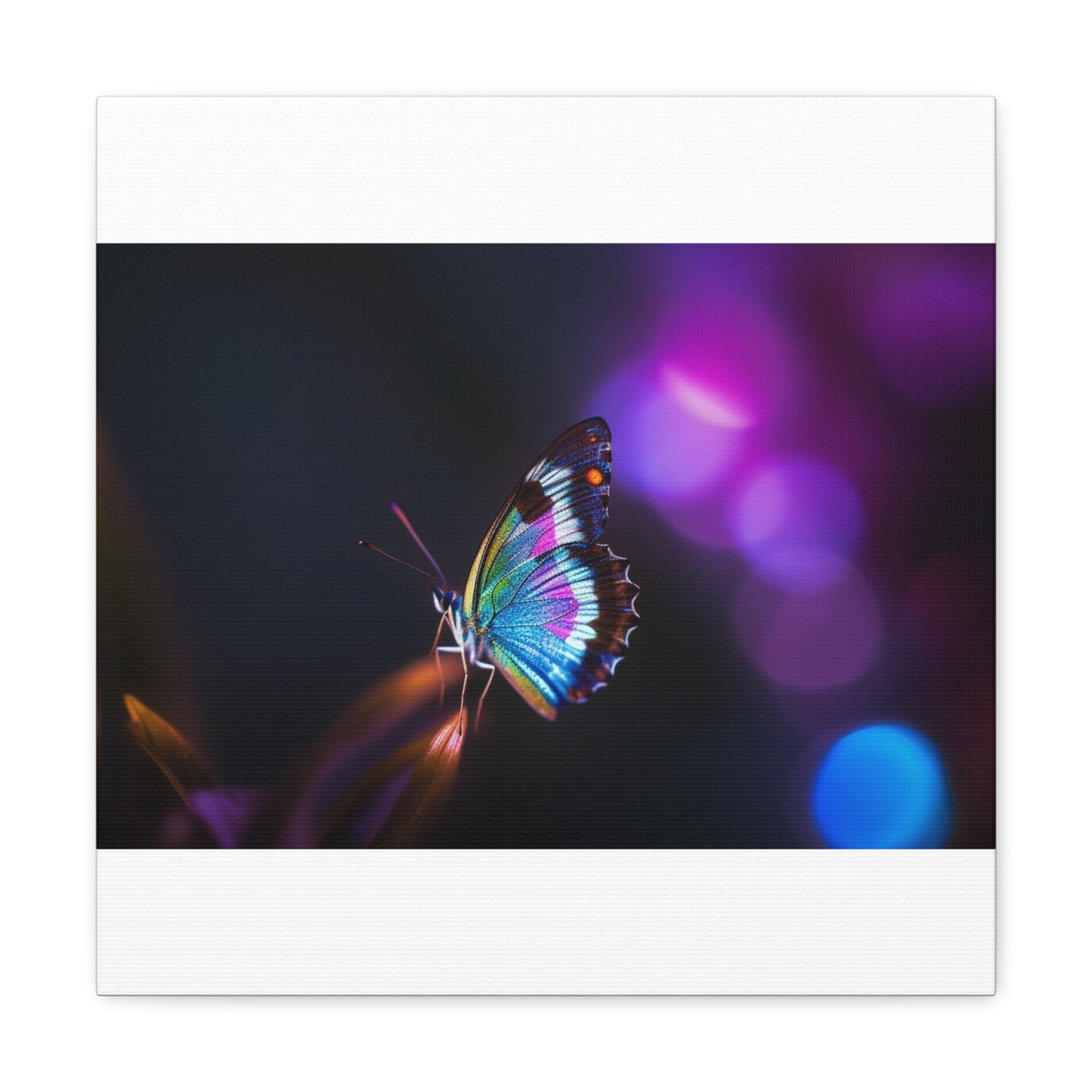 Canvas Gallery Wraps Photo Realistic Butterfly 1