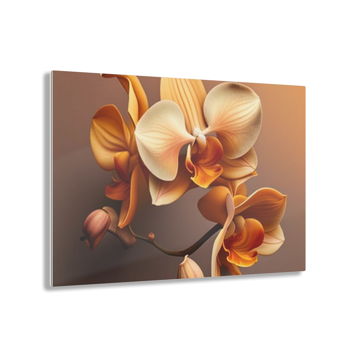 Acrylic Prints orchid pedals 2