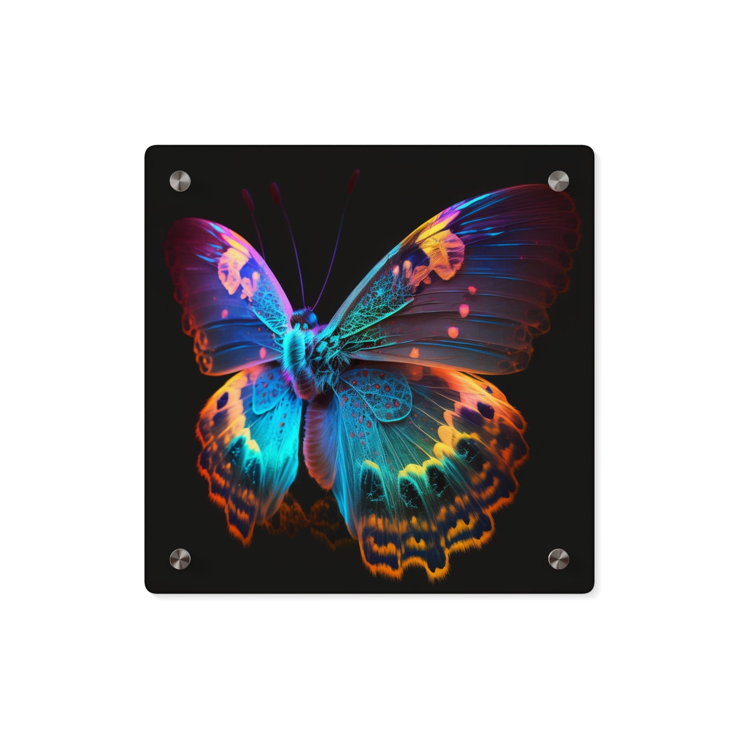 Acrylic Wall Art Panels Raw Hyper Color Butterfly 4