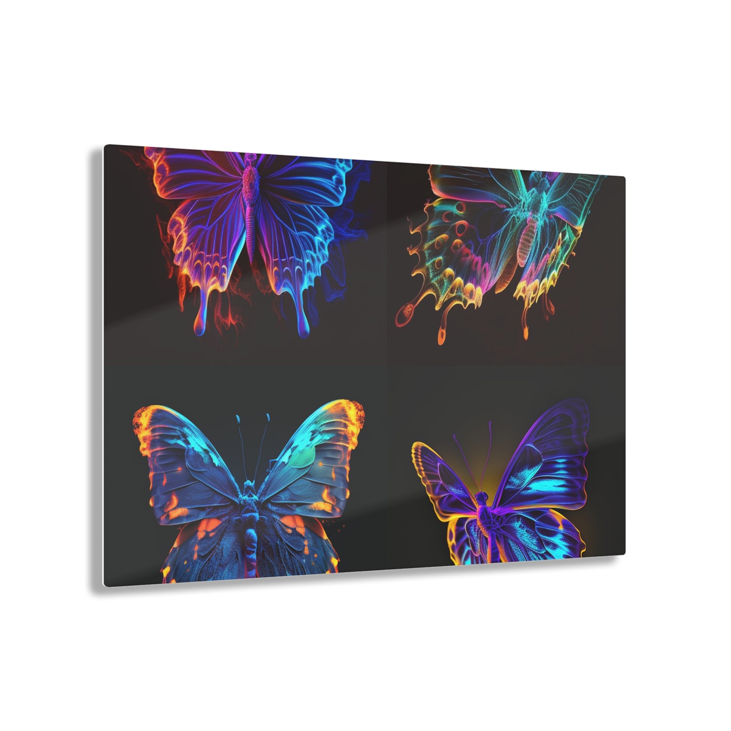 Acrylic Prints Thermal Butterfly 5