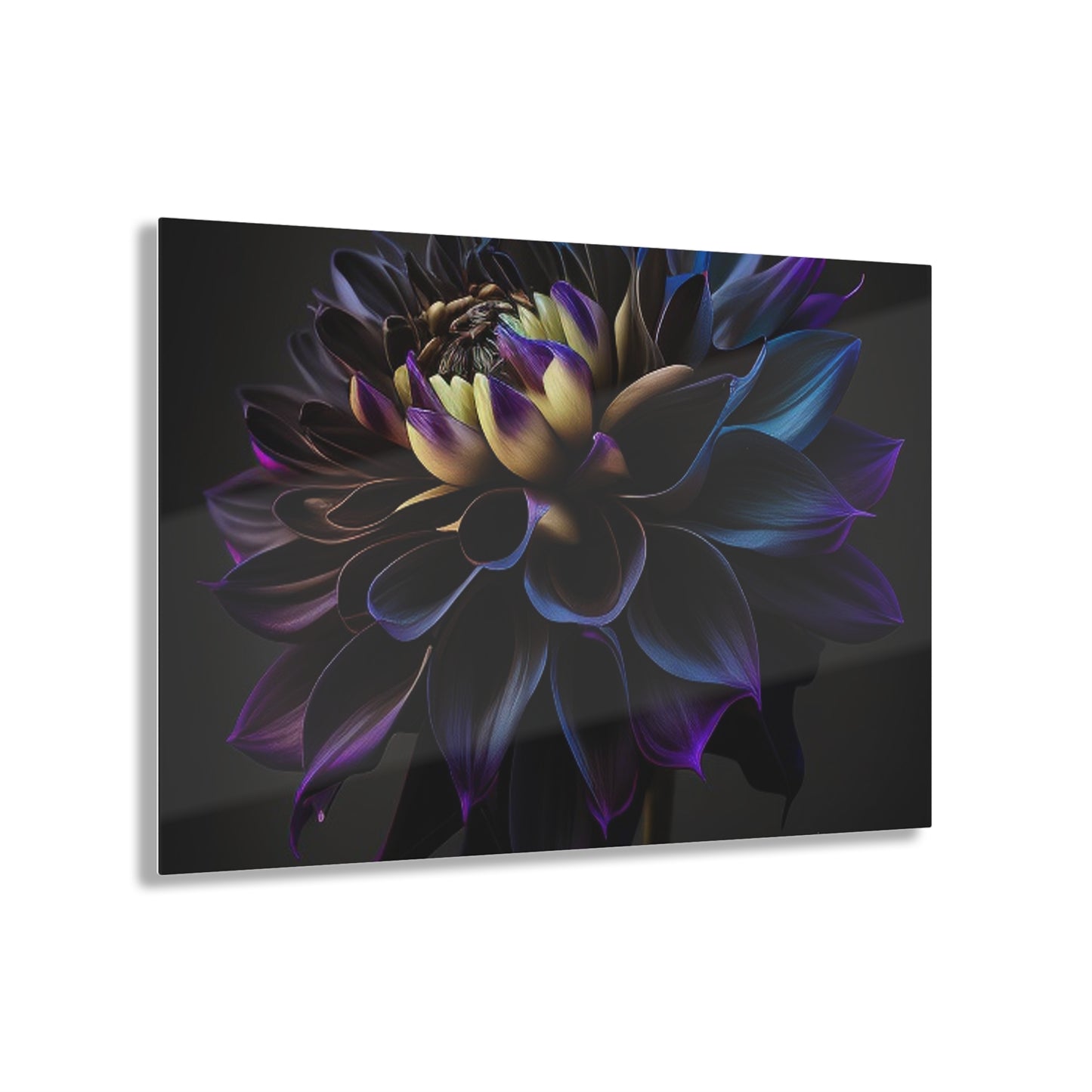 Acrylic Prints Dahlia Purple 1