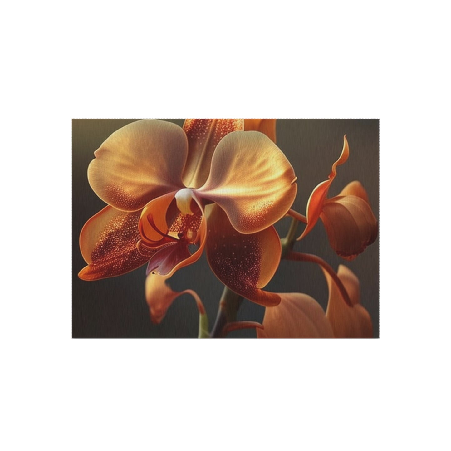 Outdoor Rug  Orange Orchid 1