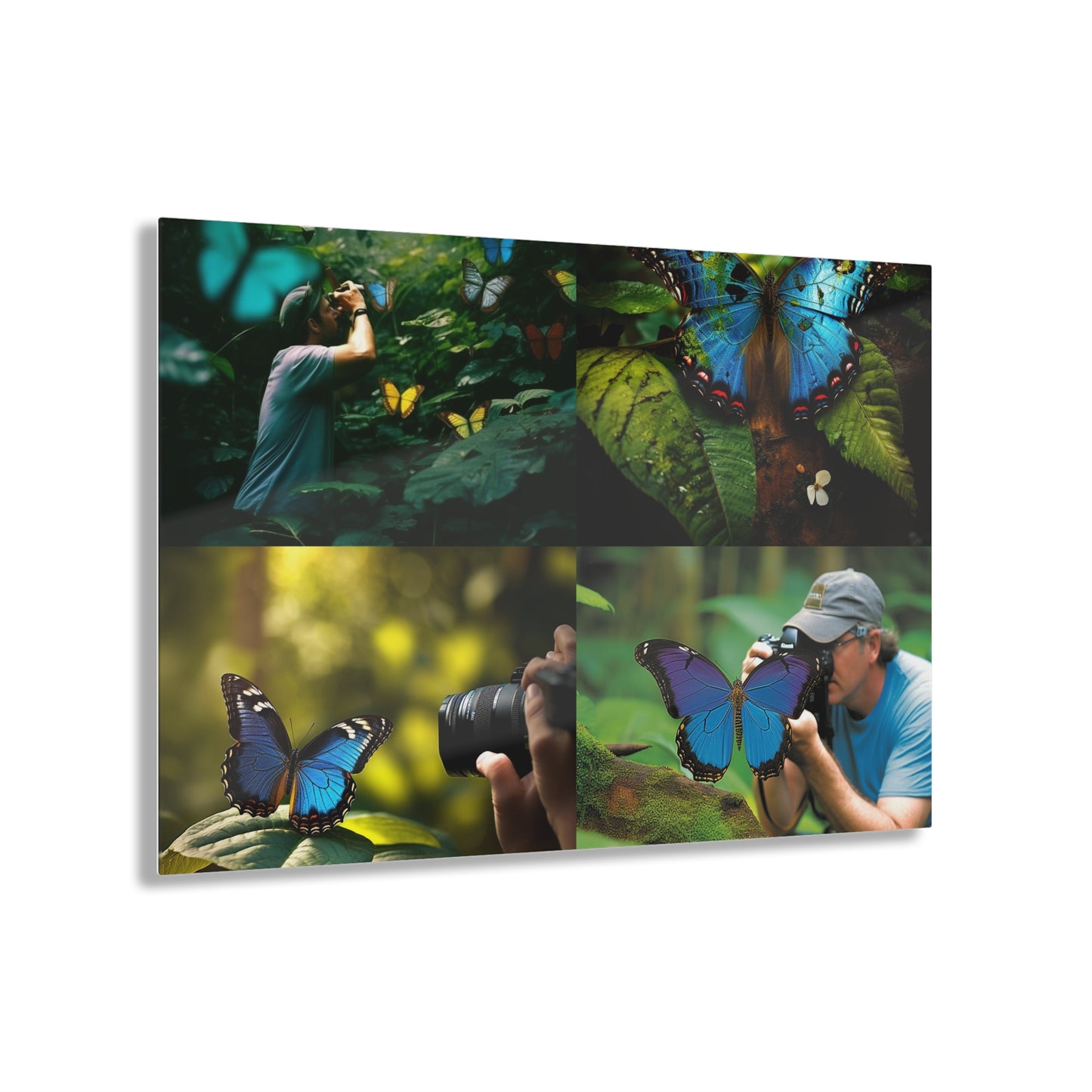 Acrylic Prints Jungle Butterfly 5