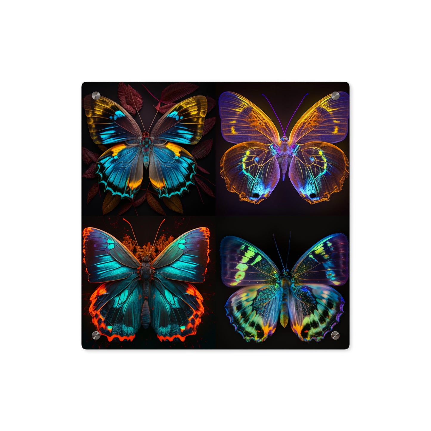 Acrylic Wall Art Panels Neon Butterfly Flair 5