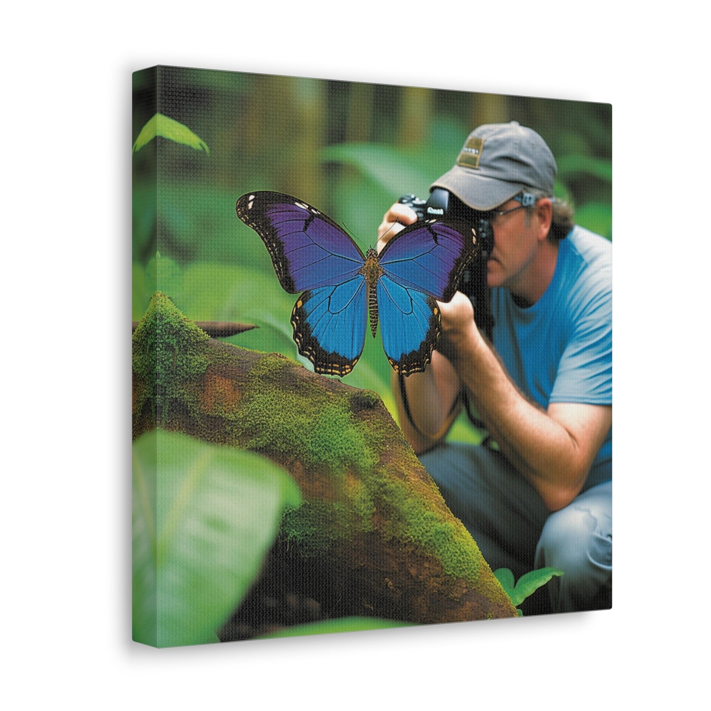 Canvas Gallery Wraps Jungle Butterfly 4