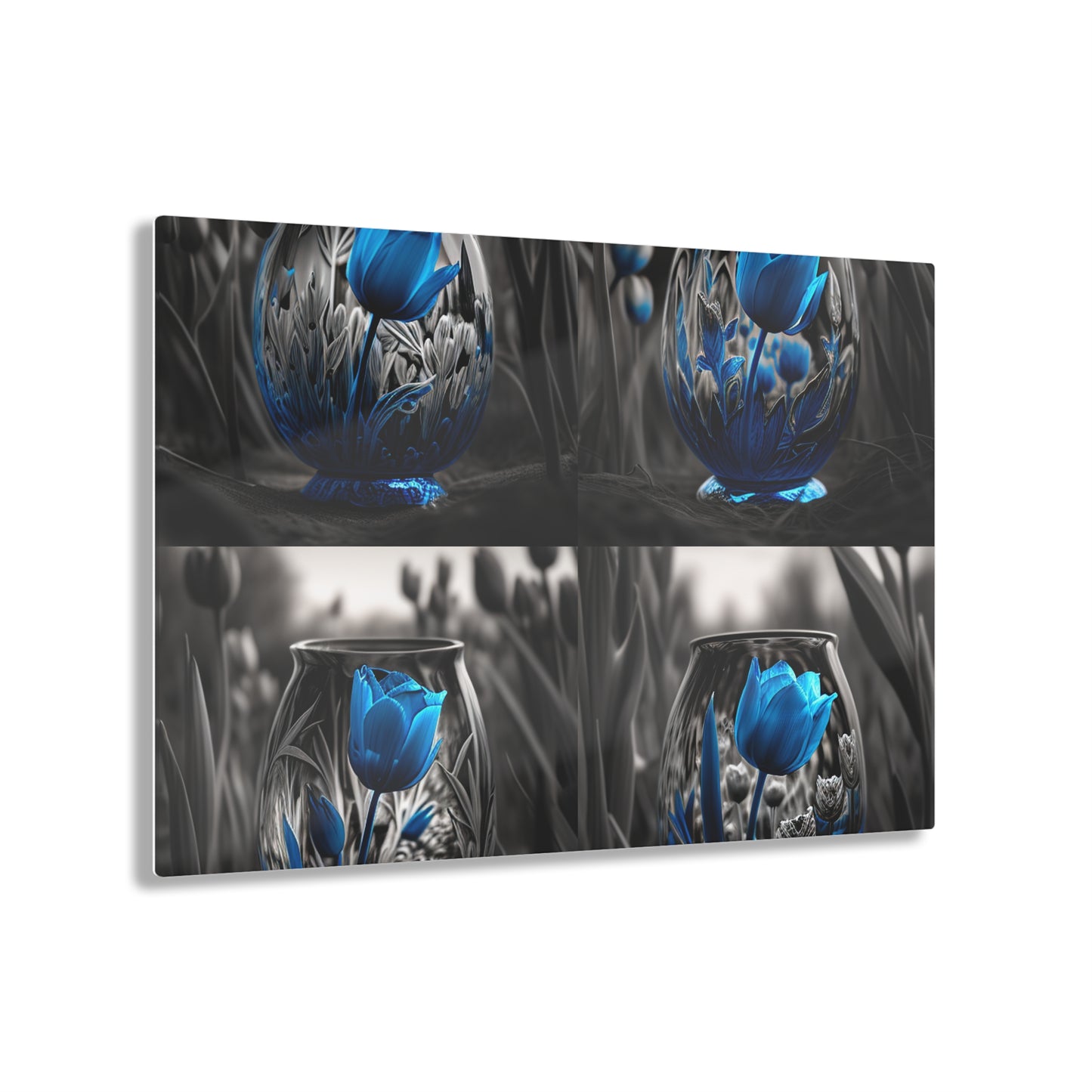 Acrylic Prints Tulip Blue 5