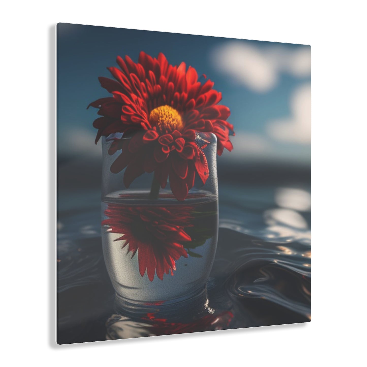 Acrylic Prints Chrysanthemum 3