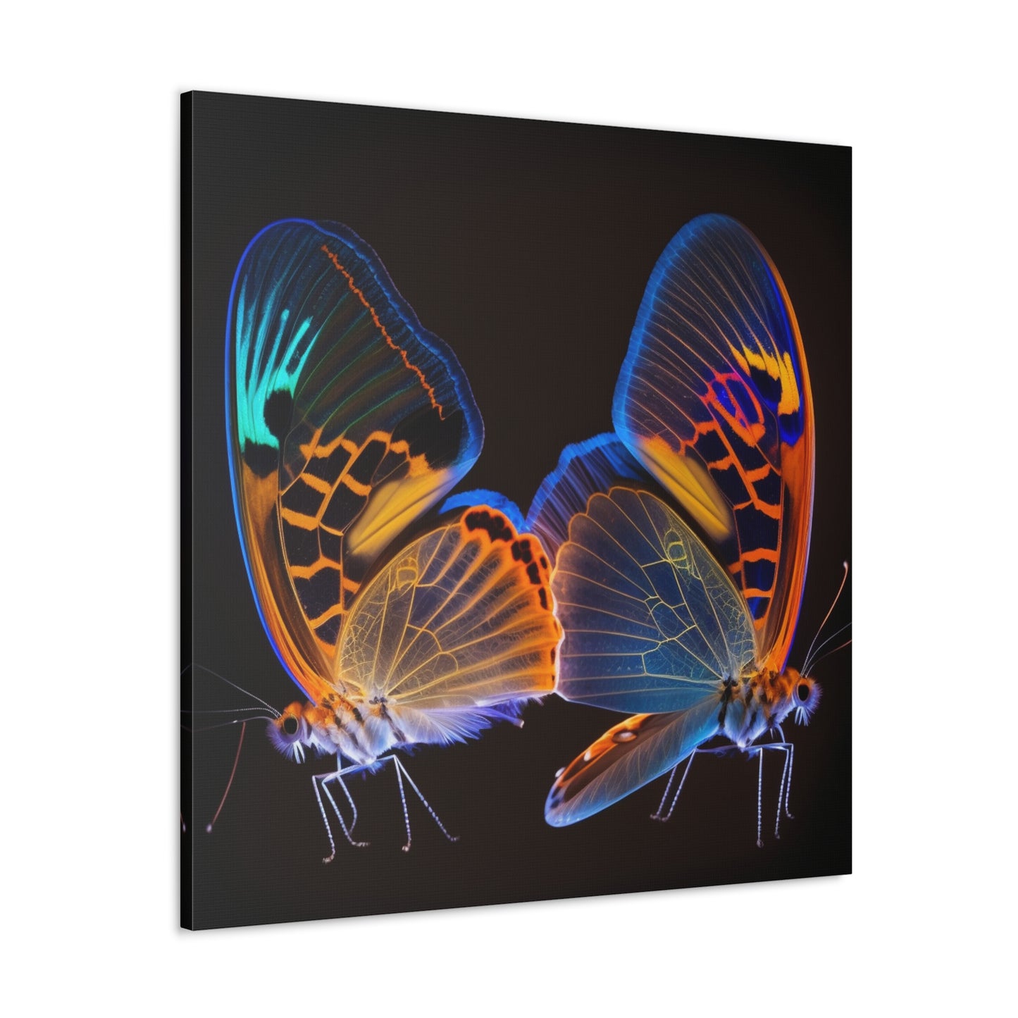 Canvas Gallery Wraps Neon Glo Butterfly 2