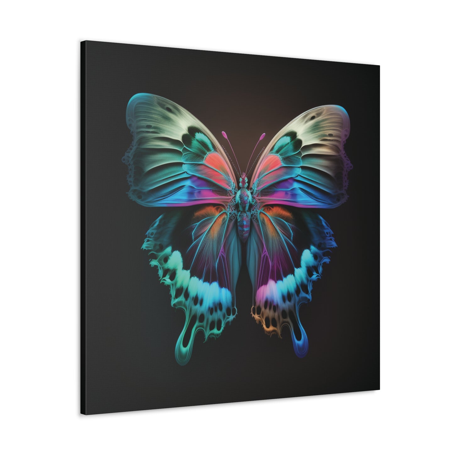 Canvas Gallery Wraps Raw Hyper Color Butterfly 2