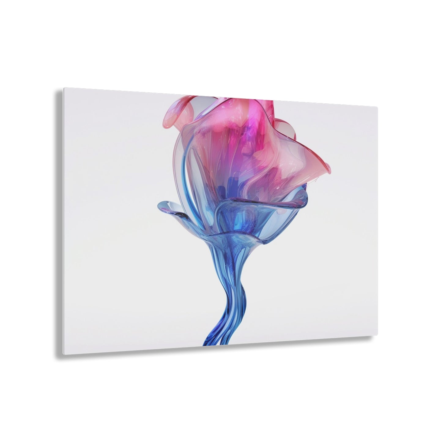 Acrylic Prints Pink & Blue Tulip Rose 4