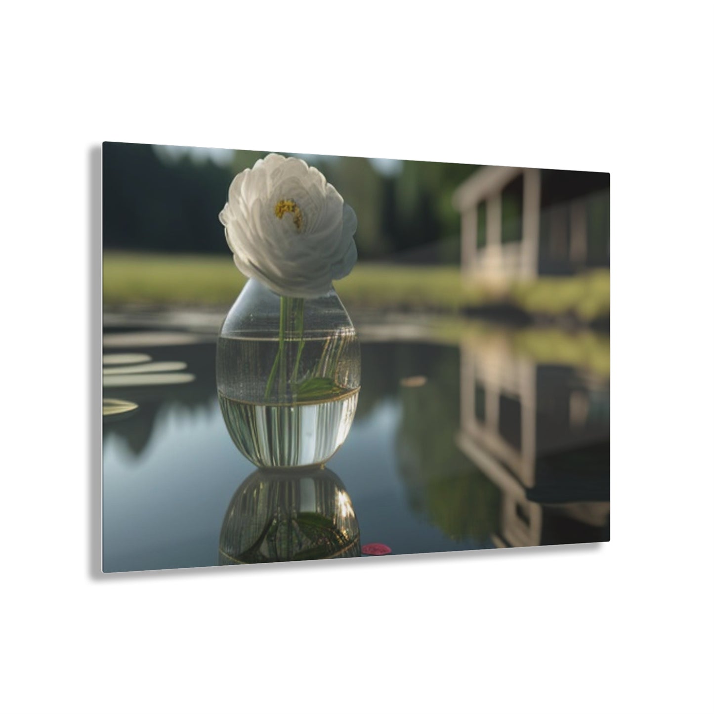 Acrylic Prints White Peony glass vase 1