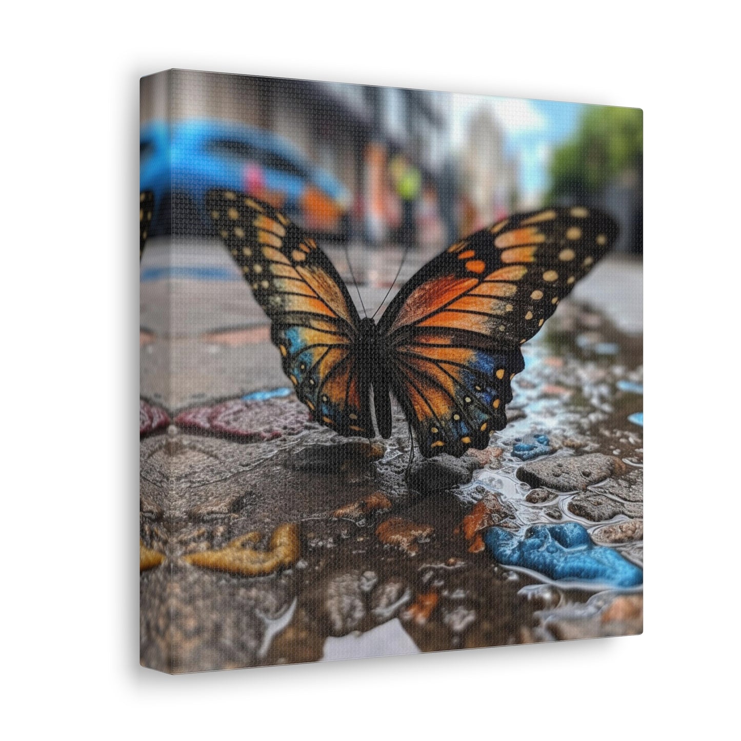 Canvas Gallery Wraps Water Butterfly Street 4