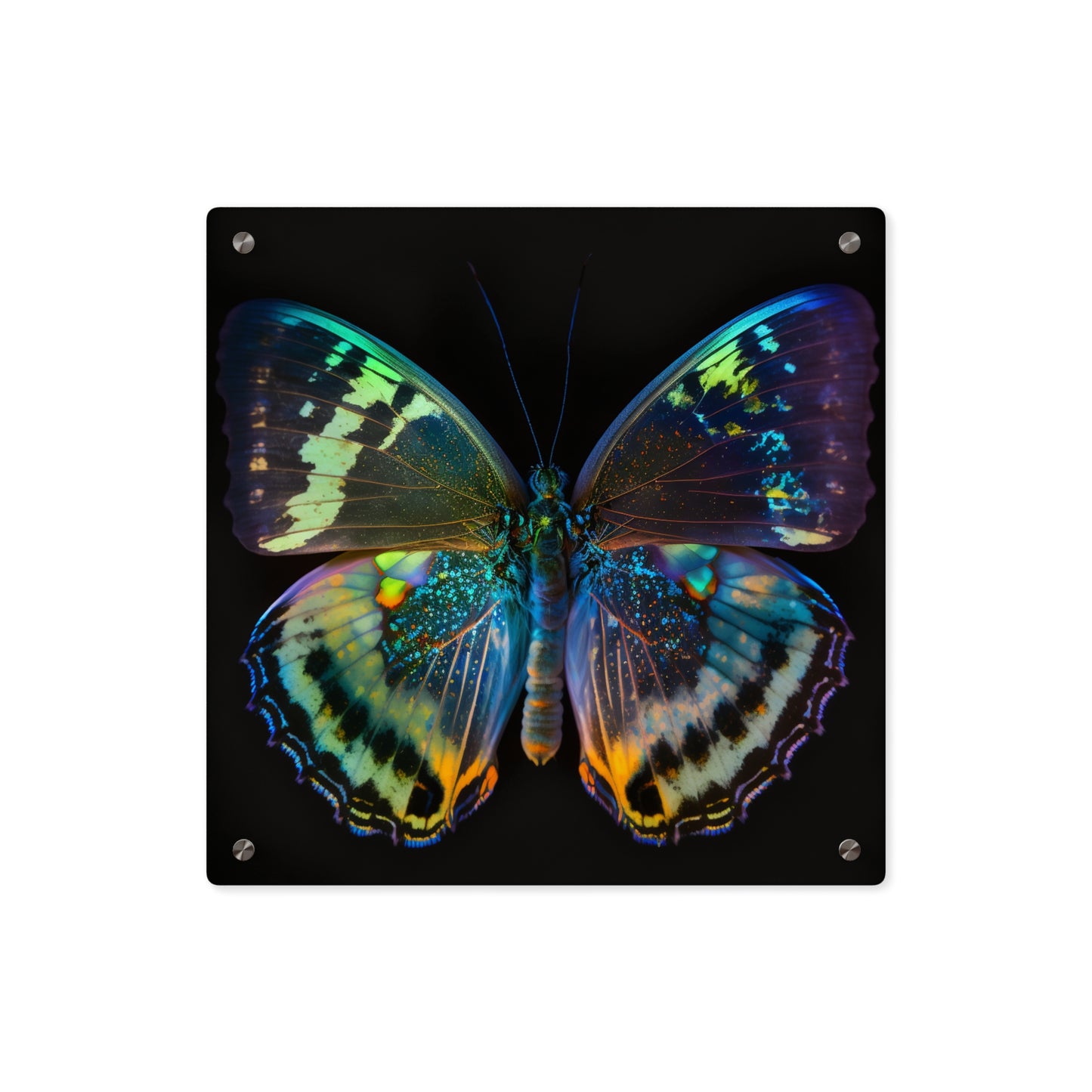 Acrylic Wall Art Panels Neon Butterfly Flair 4