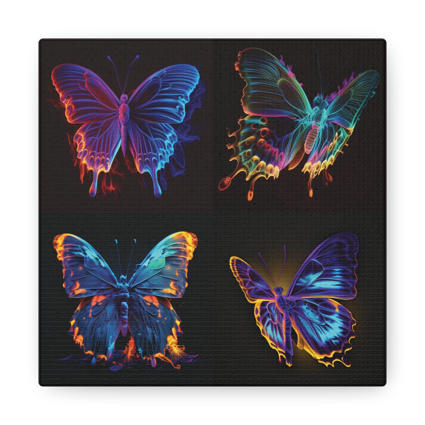 Canvas Gallery Wraps Thermal Butterfly 5