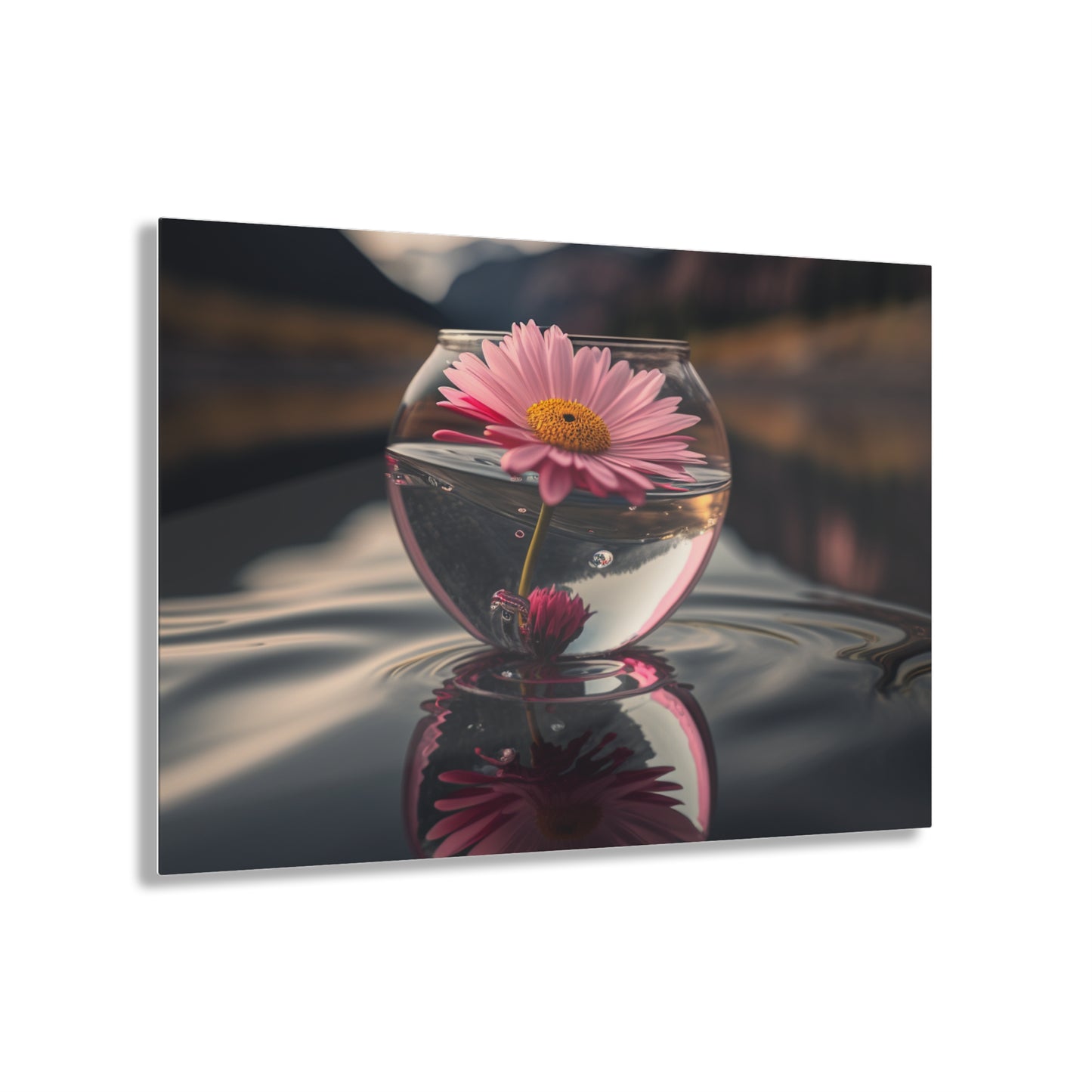 Acrylic Prints Daisy in a vase 2