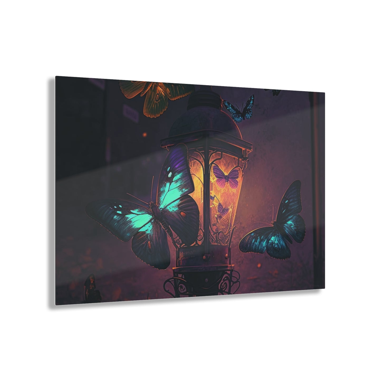 Acrylic Prints Street Light Butterfly 4