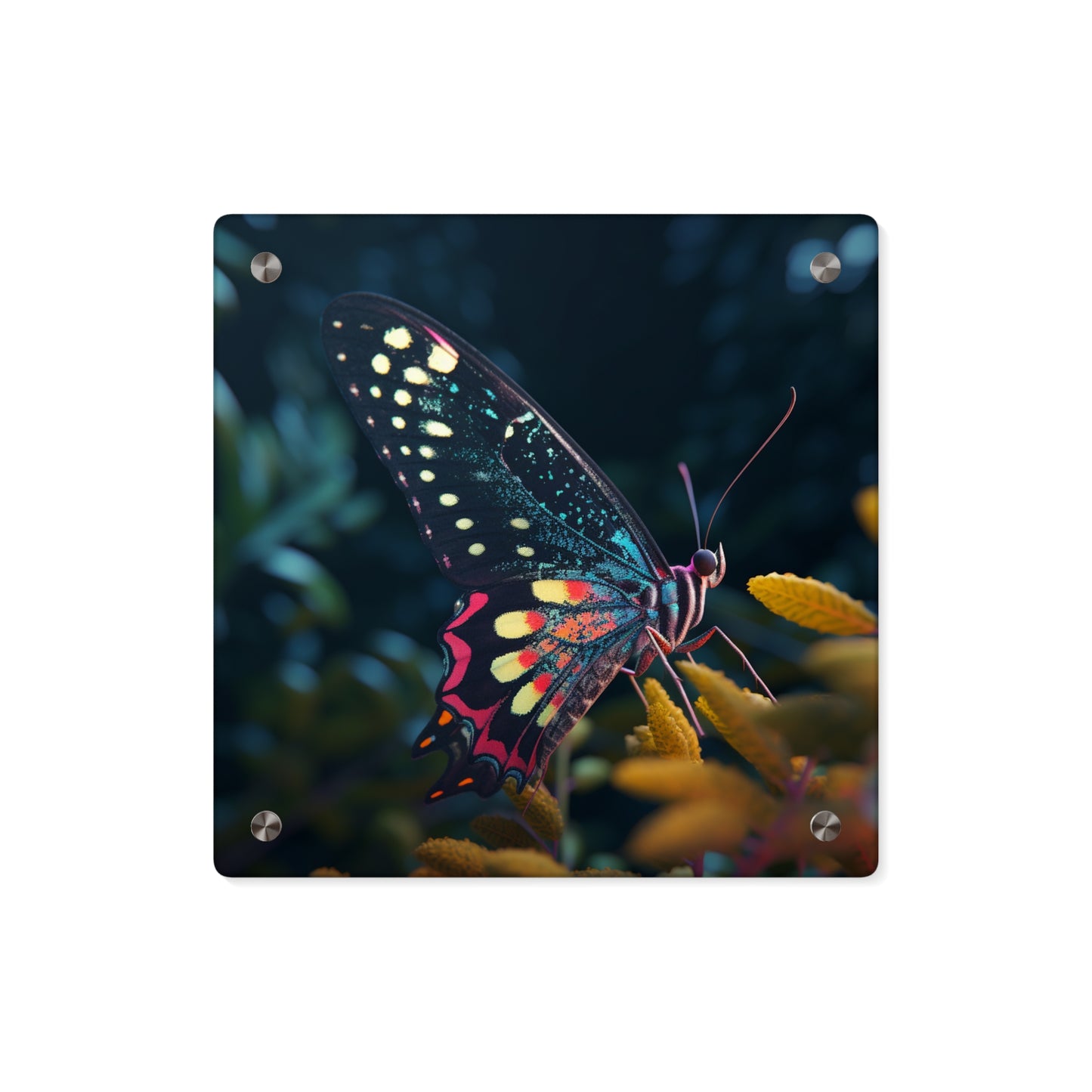 Acrylic Wall Art Panels Hyper Colorful Butterfly Macro 2